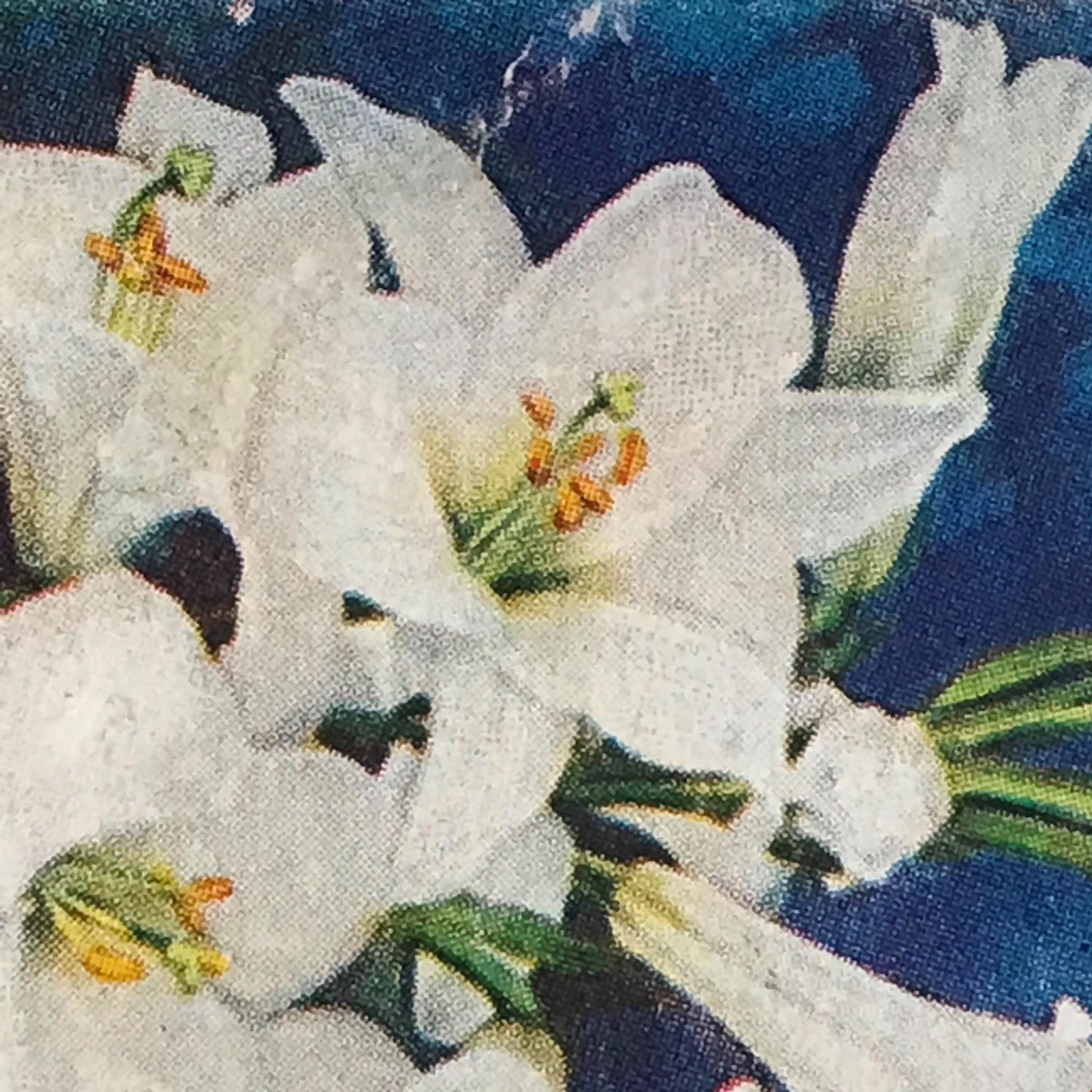 Wills Cigarette Cards GARDEN FLOWERS 1939 1930s - Pick! the ones you want