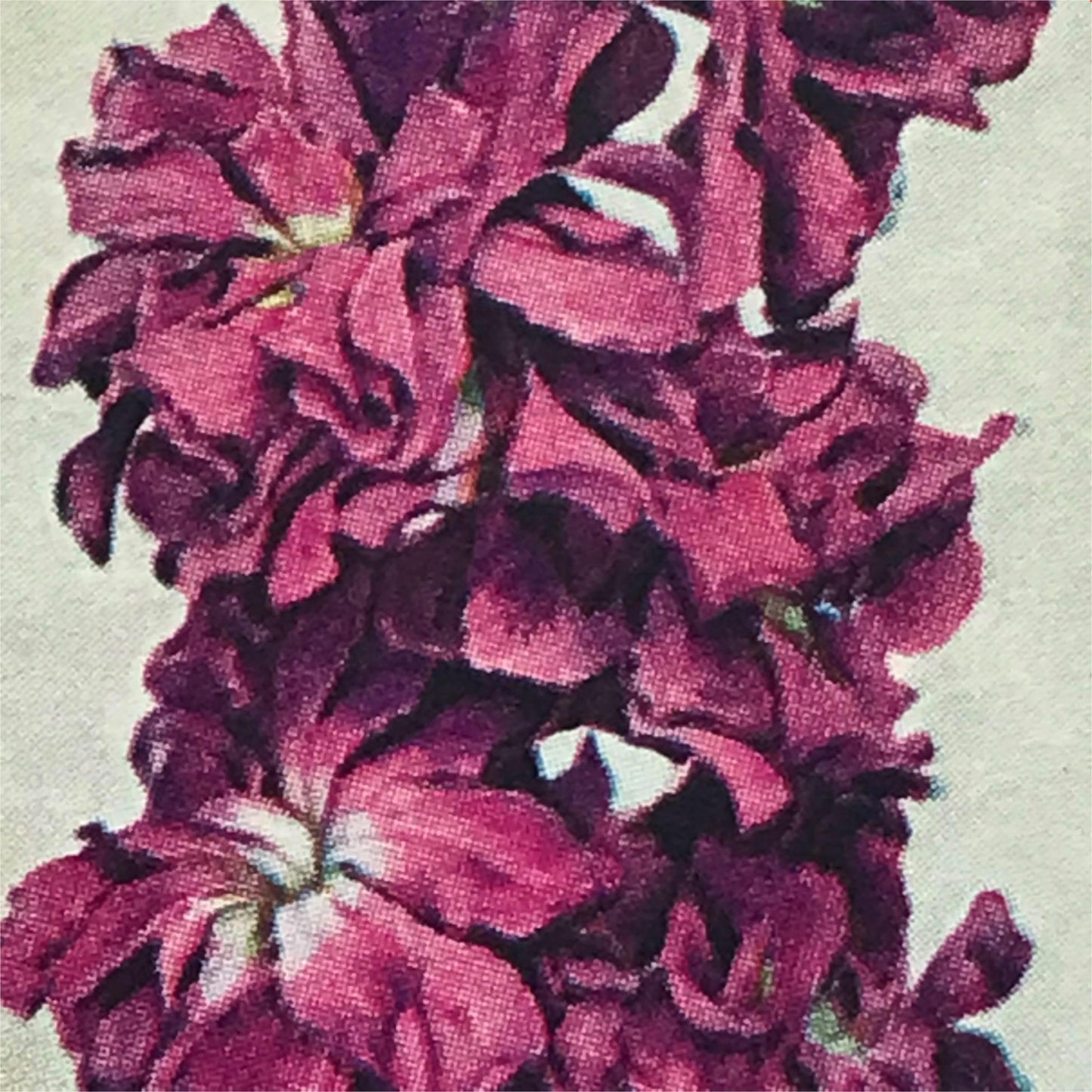 Wills Cigarette Cards GARDEN FLOWERS 1939 1930s - Pick! the ones you want