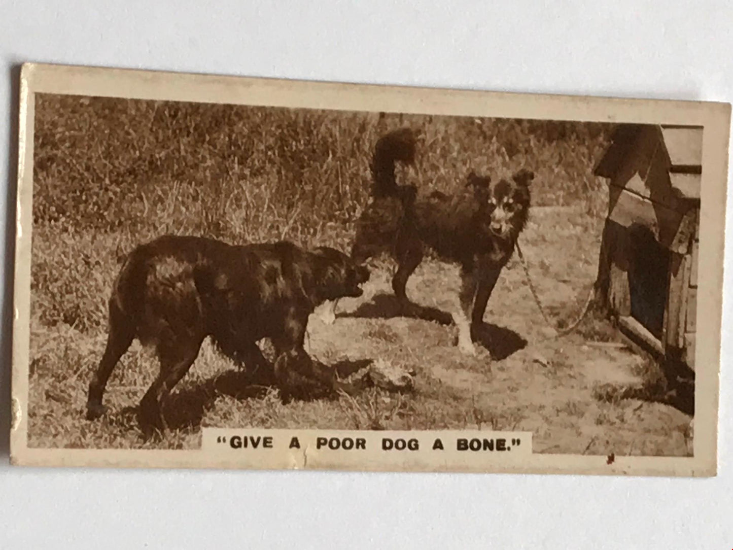 De Reszke Cigarette Card - Series 1 No. 4 - 'Give A Poor Dog A Bone' - Dogs with bone by kennel