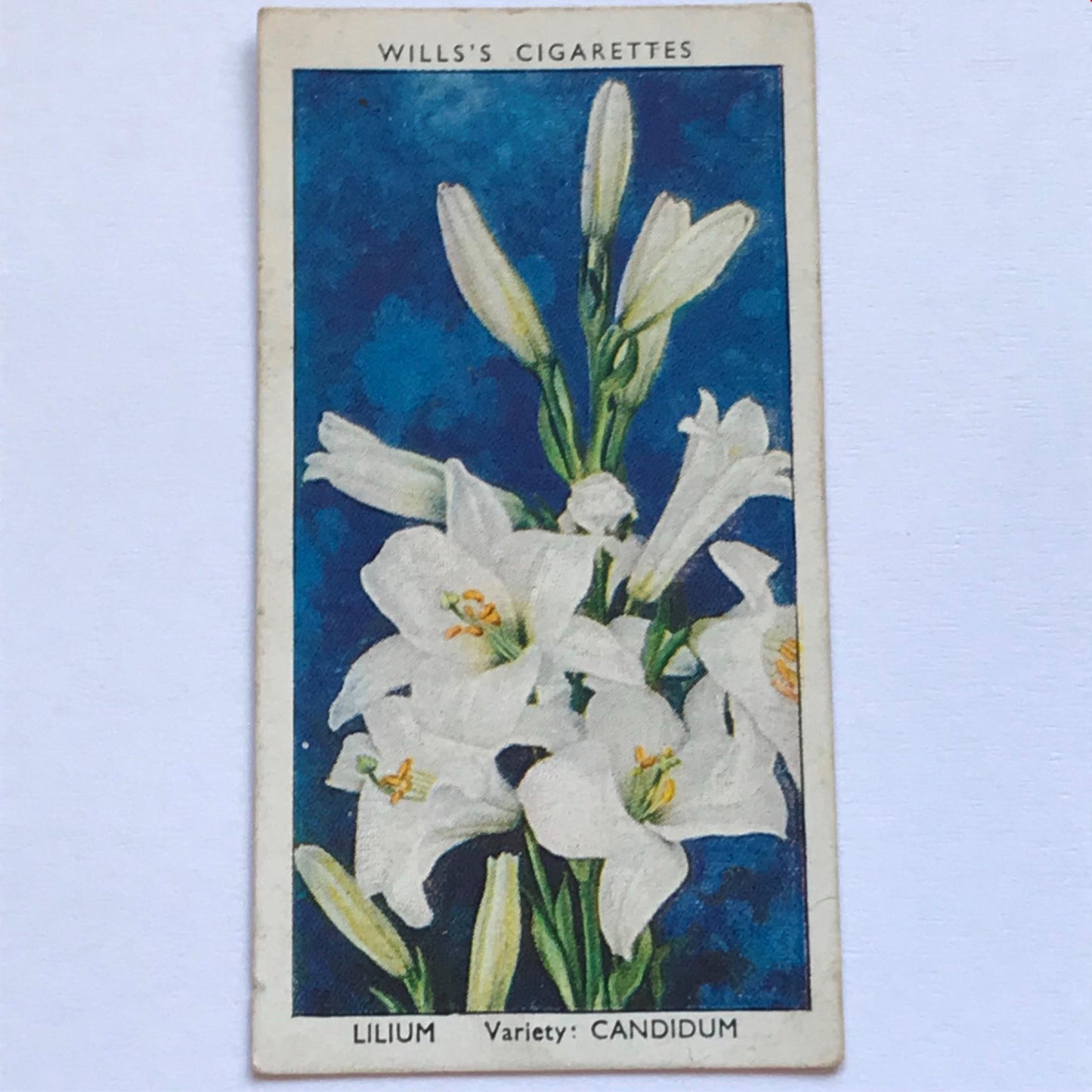 Wills Cigarette Cards GARDEN FLOWERS 1939 1930s - Pick! the ones you want
