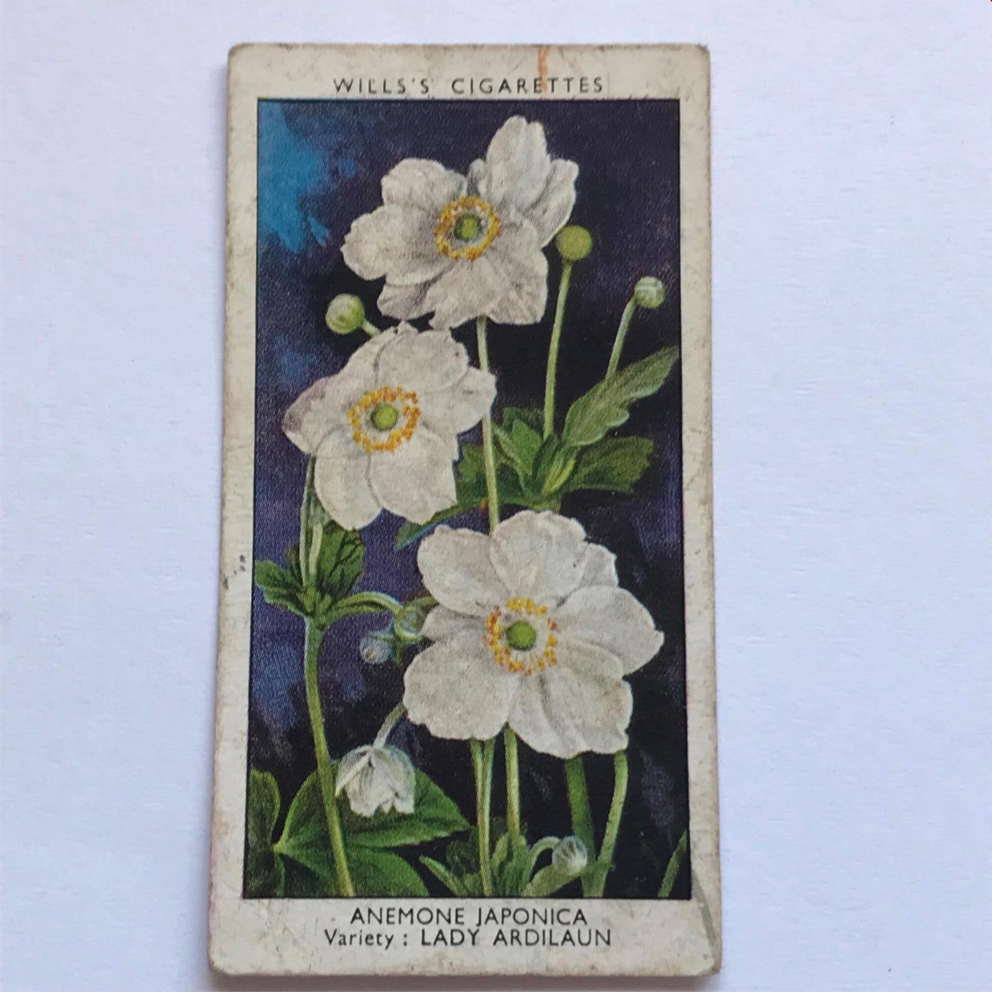 Wills Cigarette Cards GARDEN FLOWERS 1939 1930s - Pick! the ones you want