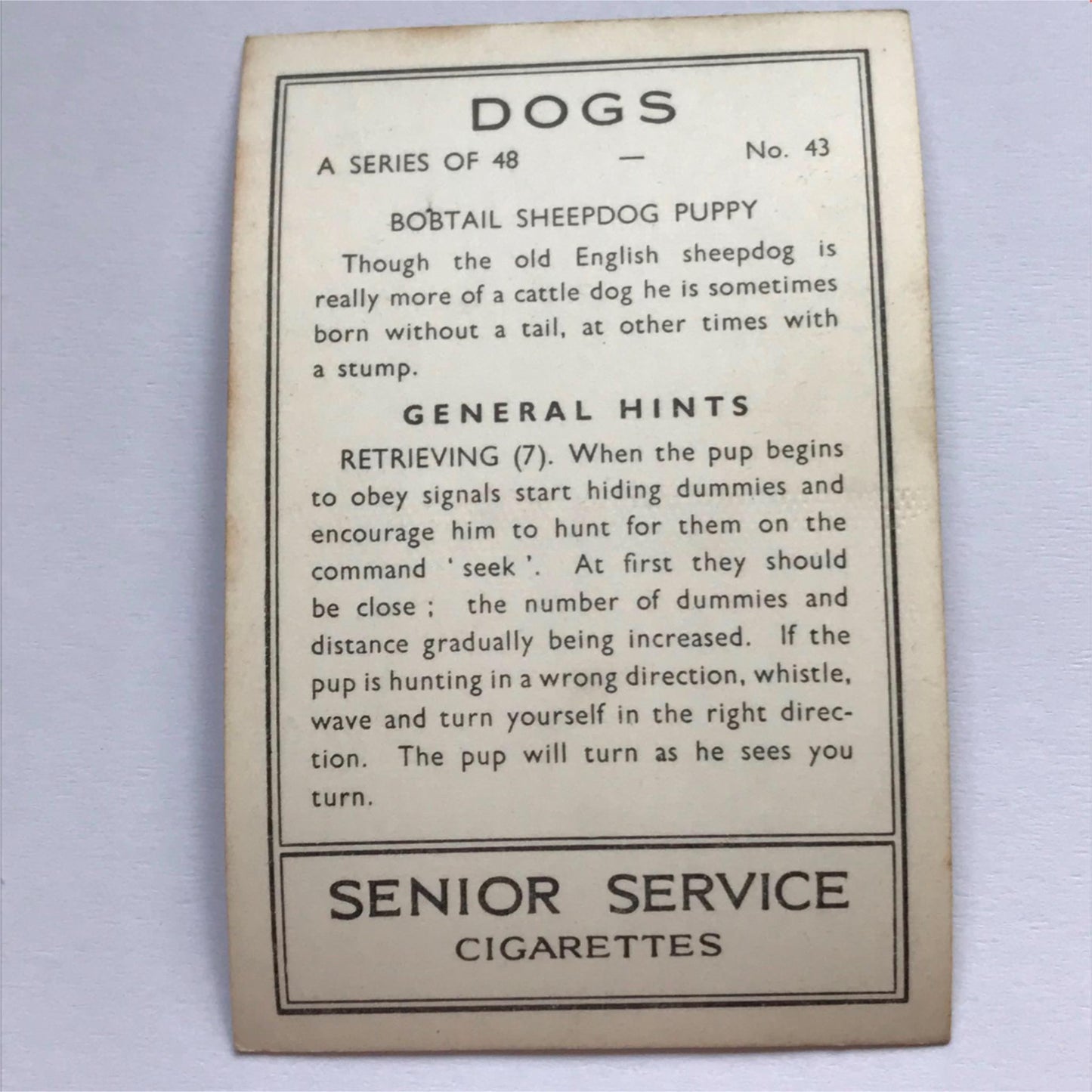 DOGS - SENIOR SERVICE CIGARETTE CARDS 1930S PHOTOS - take your pick