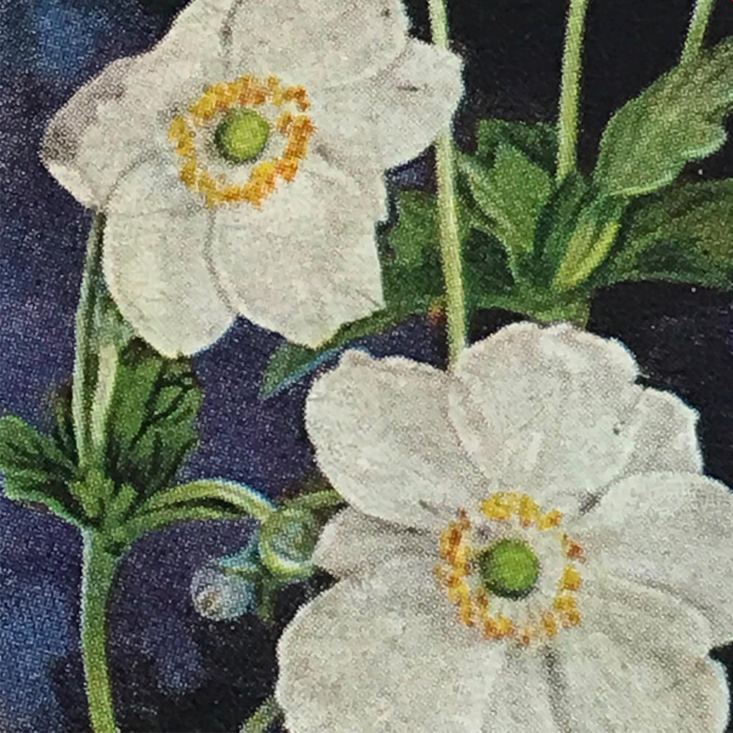 Wills Cigarette Cards GARDEN FLOWERS 1939 1930s - Pick! the ones you want