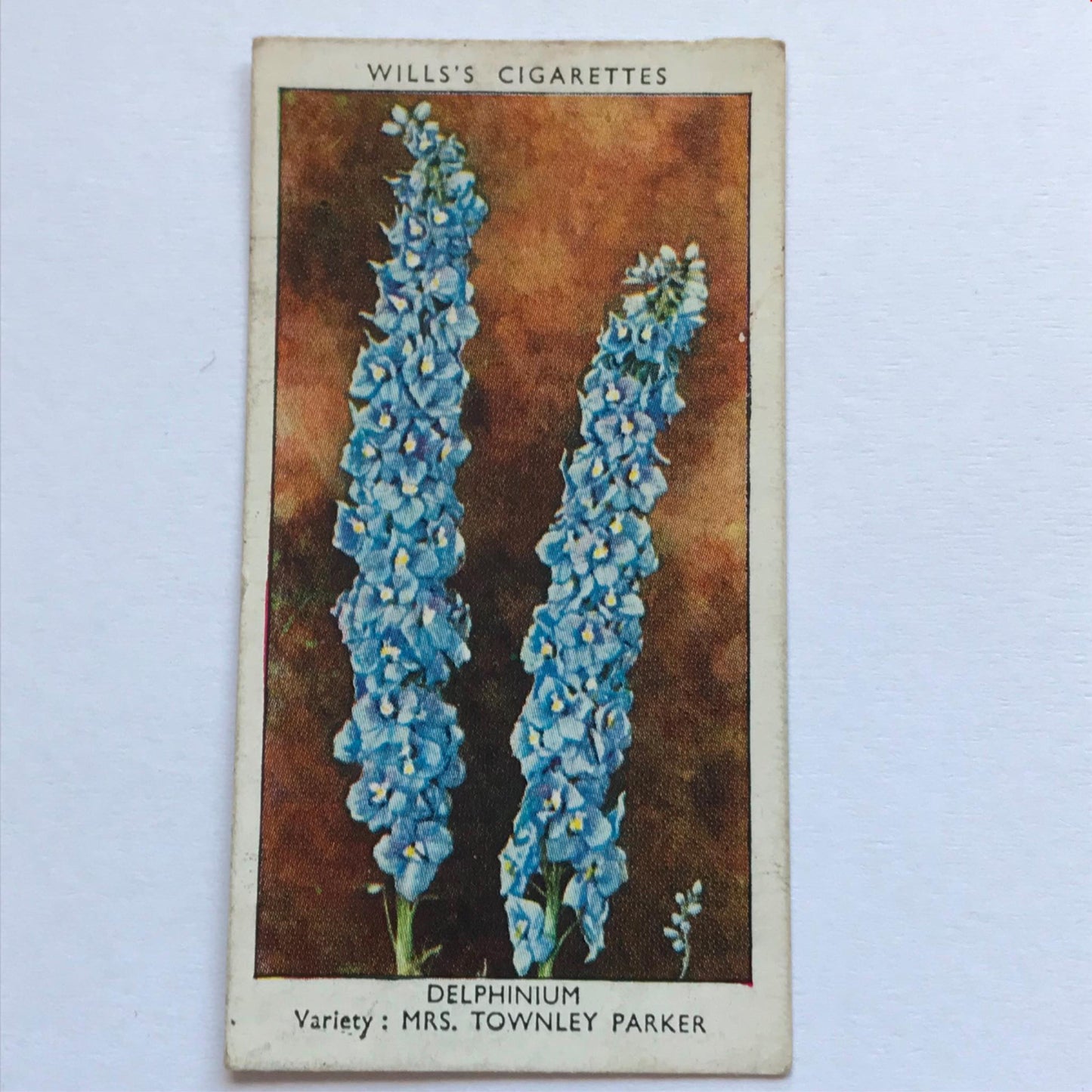 Wills Cigarette Cards GARDEN FLOWERS 1939 1930s - Pick! the ones you want