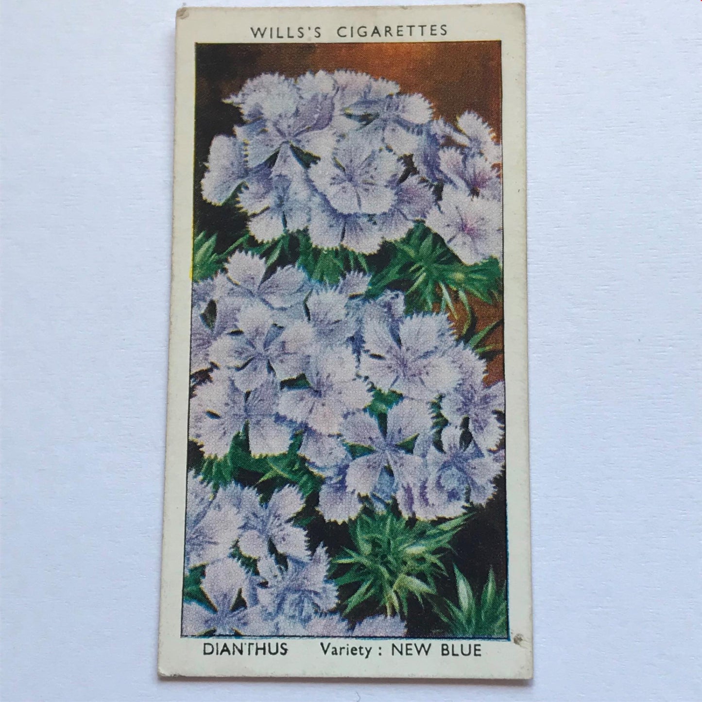 Wills Cigarette Cards GARDEN FLOWERS 1939 1930s - Pick! the ones you want