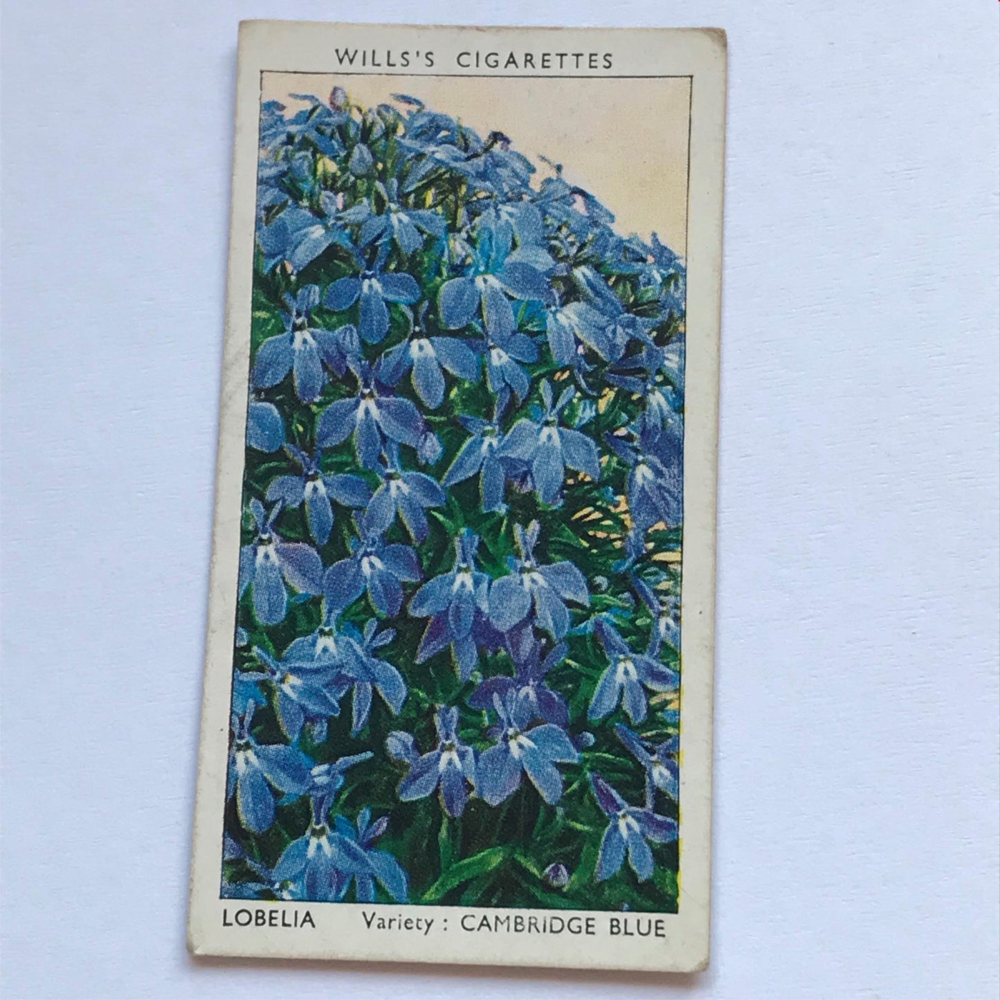 Wills Cigarette Cards GARDEN FLOWERS 1939 1930s - Pick! the ones you want