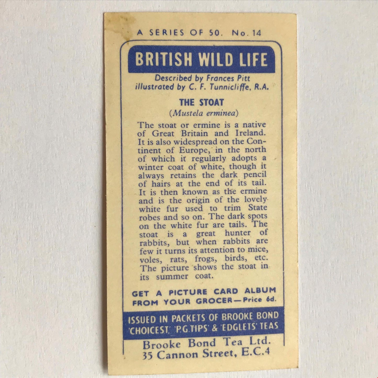 BRITISH WILD LIFE - Brooke Bond Tea Cards - Take your pick - wildlife pictures