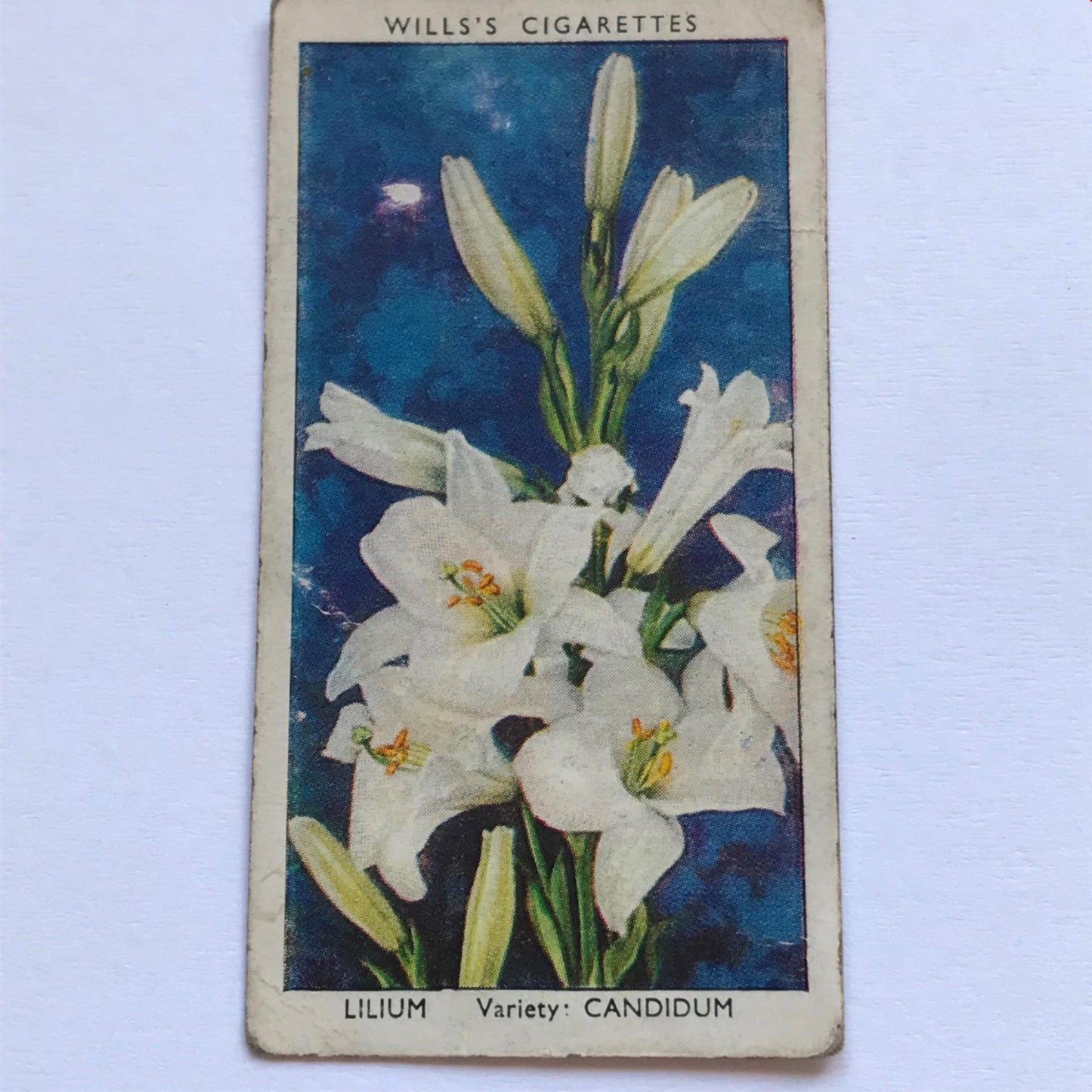 Wills Cigarette Cards GARDEN FLOWERS 1939 1930s - Pick! the ones you want