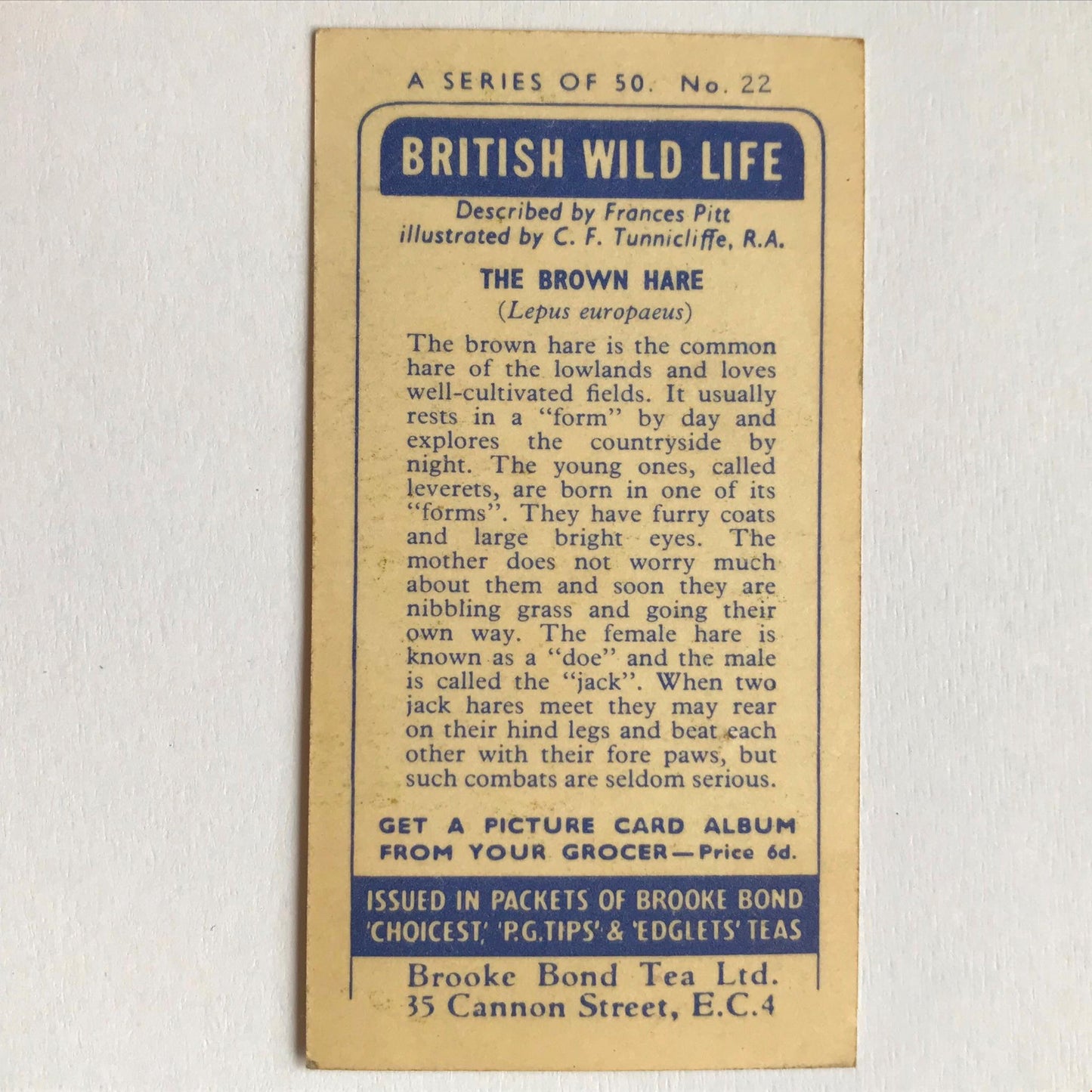 BRITISH WILD LIFE - Brooke Bond Tea Cards - Take your pick - wildlife pictures