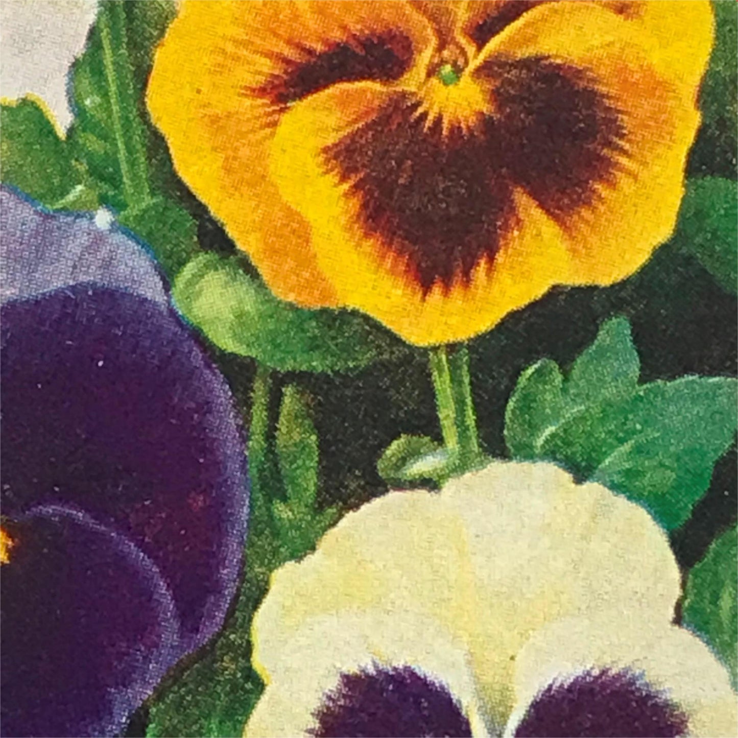 Wills Cigarette Cards GARDEN FLOWERS 1939 1930s - Pick! the ones you want