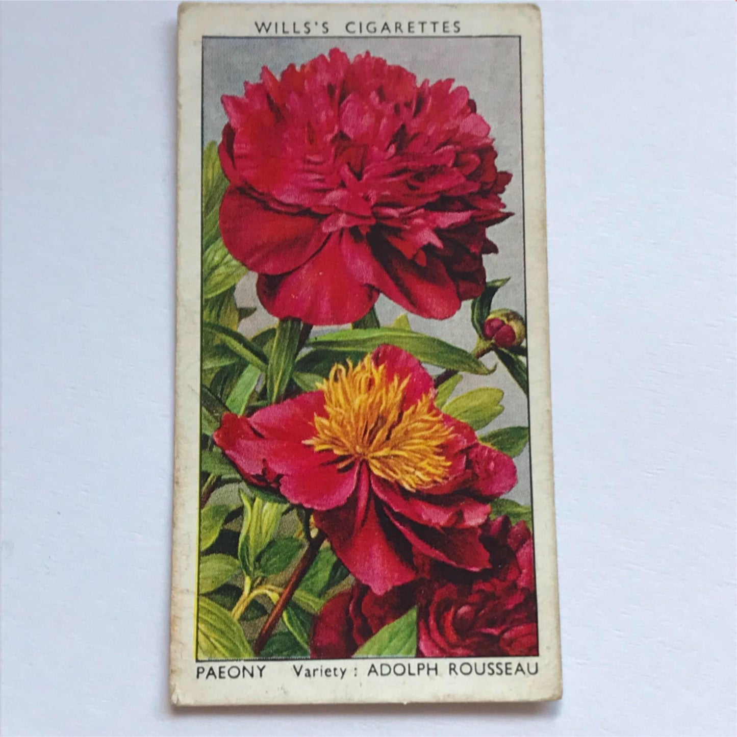 Wills Cigarette Cards GARDEN FLOWERS 1939 1930s - Pick! the ones you want
