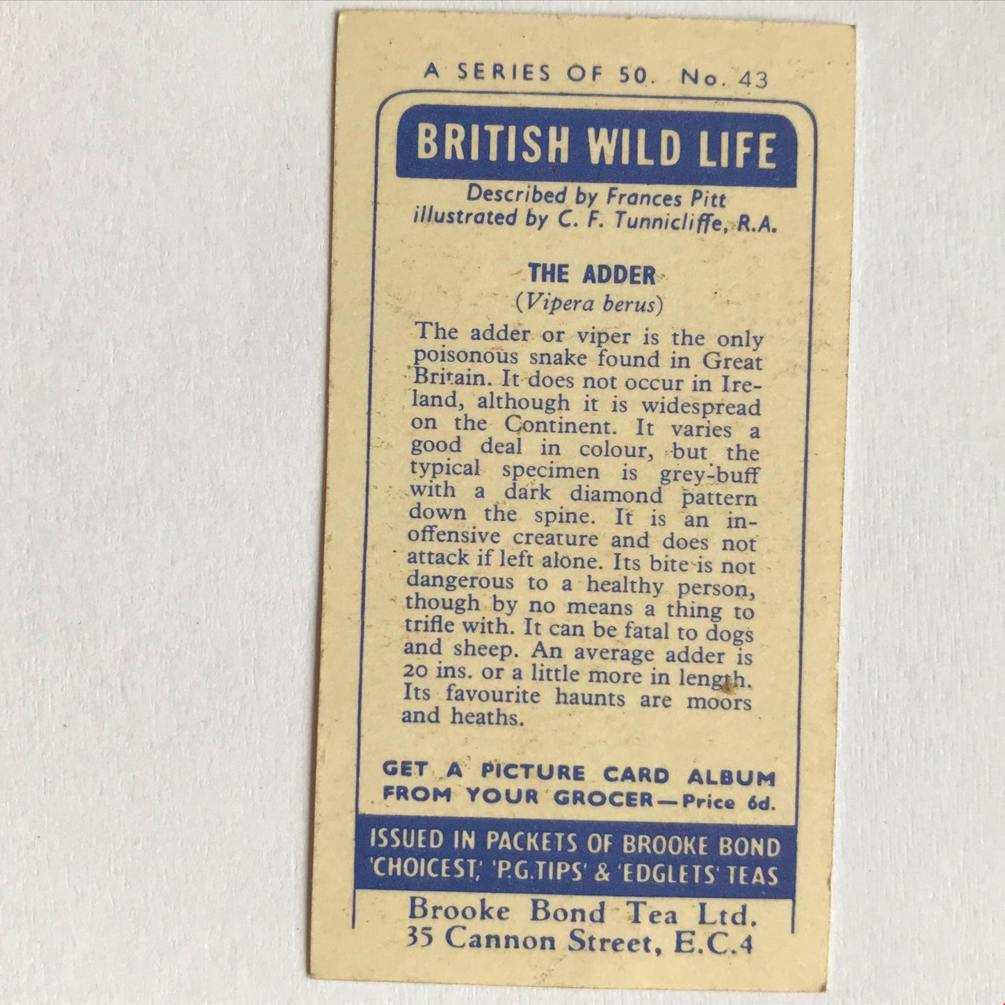 BRITISH WILD LIFE - Brooke Bond Tea Cards - Take your pick - wildlife pictures