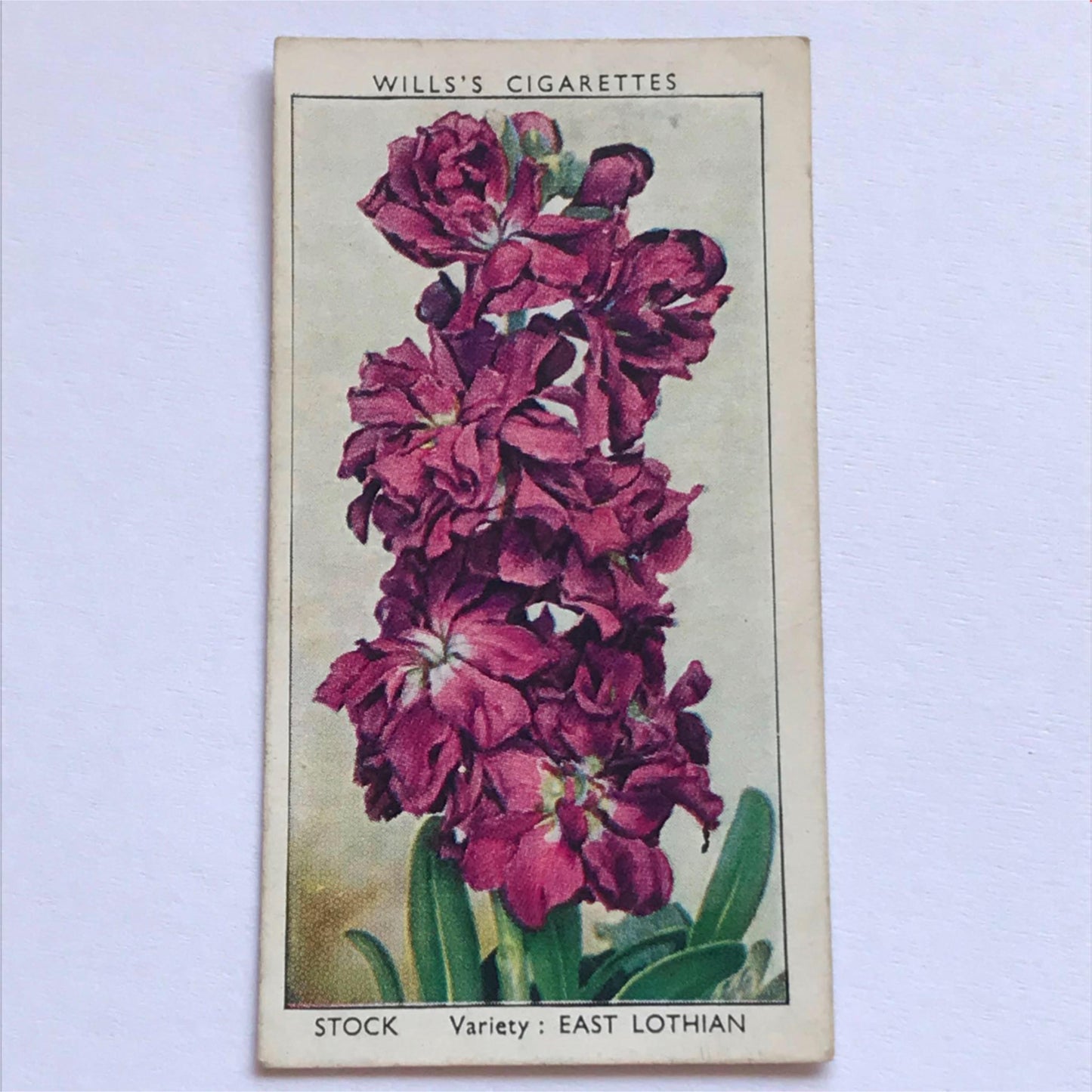Wills Cigarette Cards GARDEN FLOWERS 1939 1930s - Pick! the ones you want