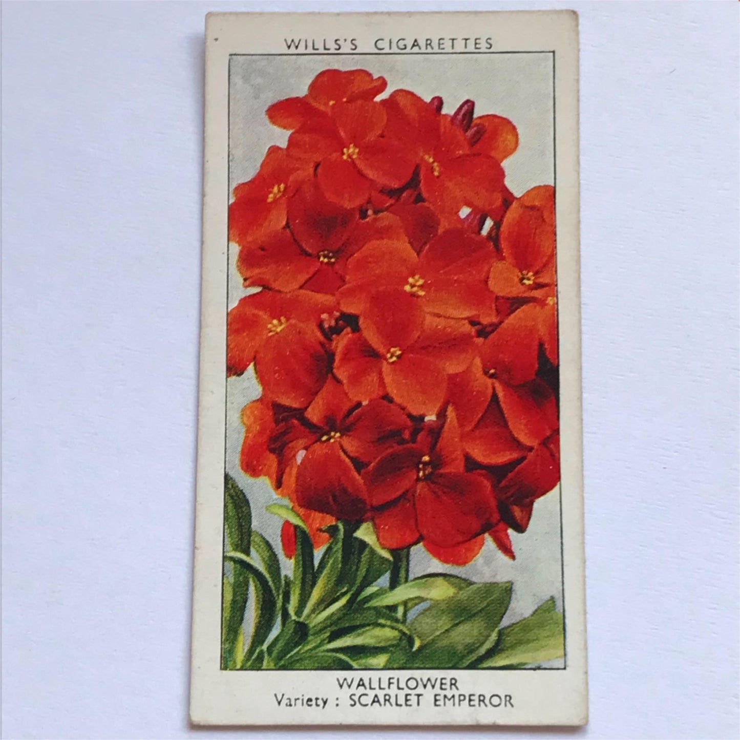 Wills Cigarette Cards GARDEN FLOWERS 1939 1930s - Pick! the ones you want