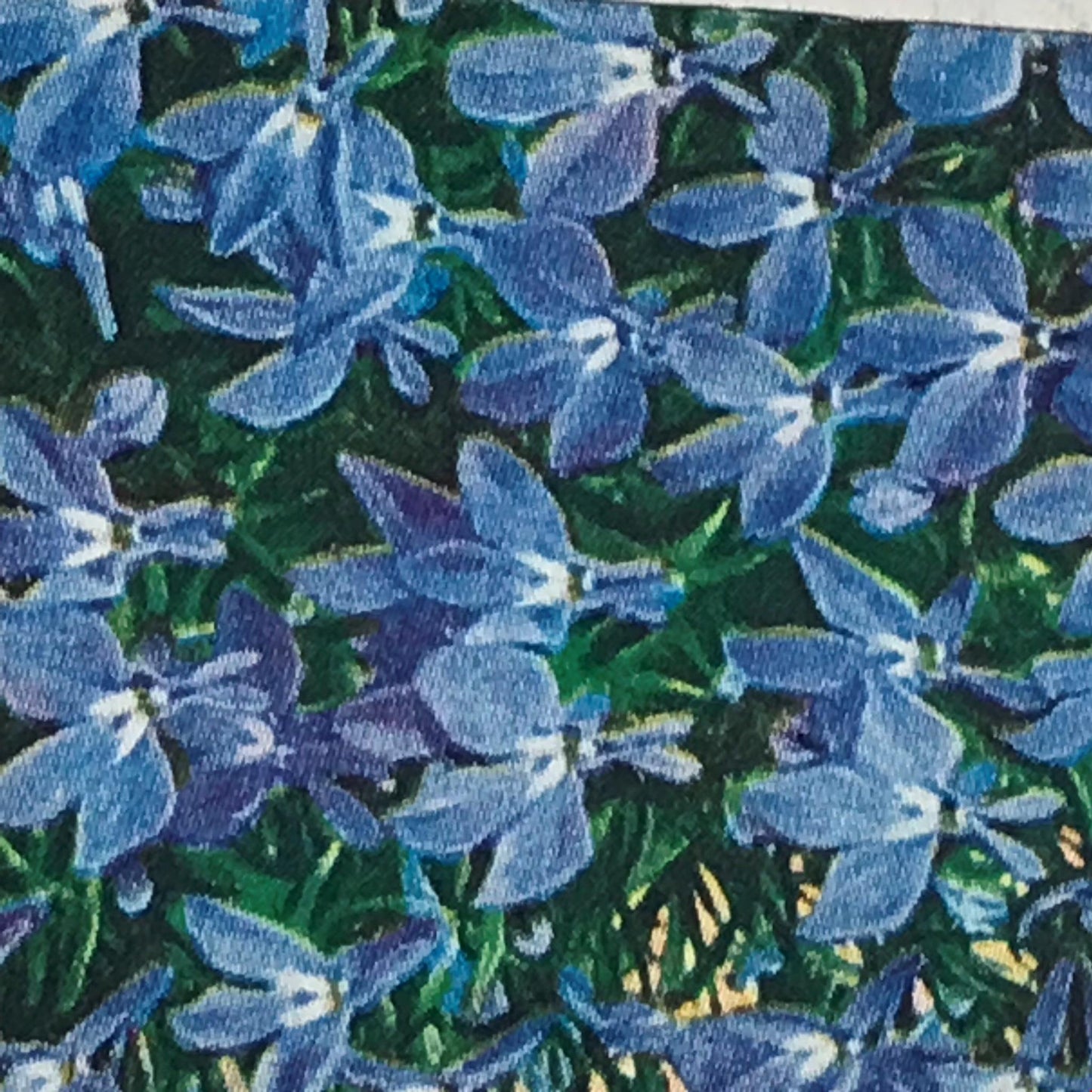 Wills Cigarette Cards GARDEN FLOWERS 1939 1930s - Pick! the ones you want