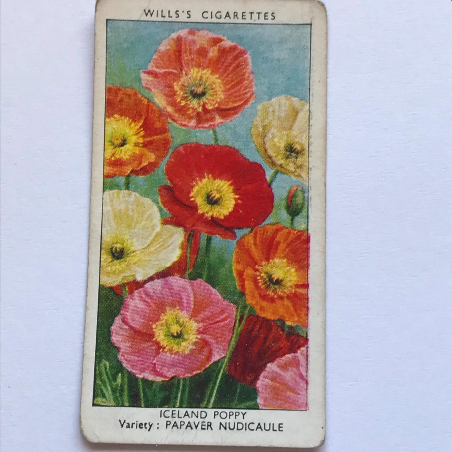 Wills Cigarette Cards GARDEN FLOWERS 1939 1930s - Pick! the ones you want