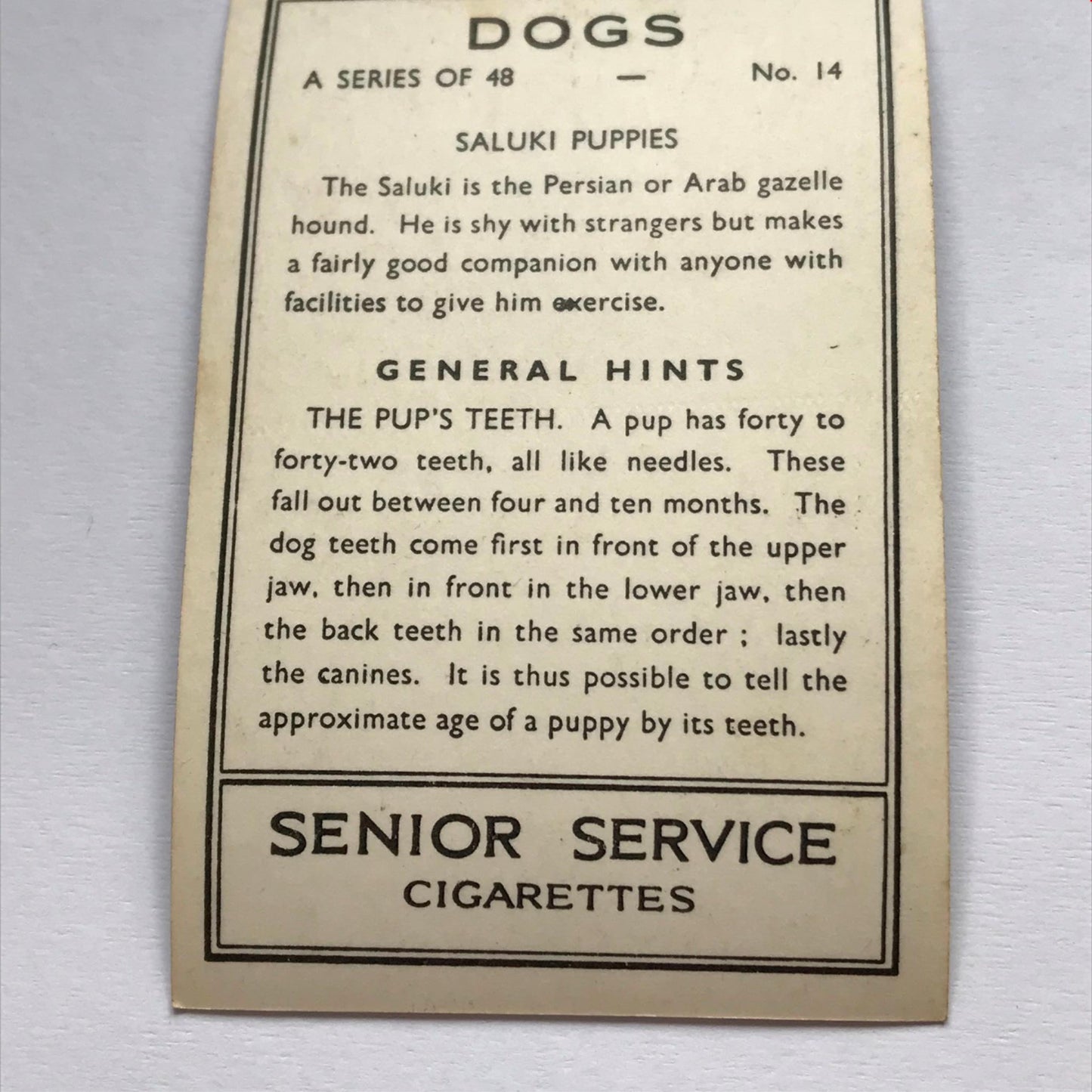 DOGS - SENIOR SERVICE CIGARETTE CARDS 1930S PHOTOS - take your pick