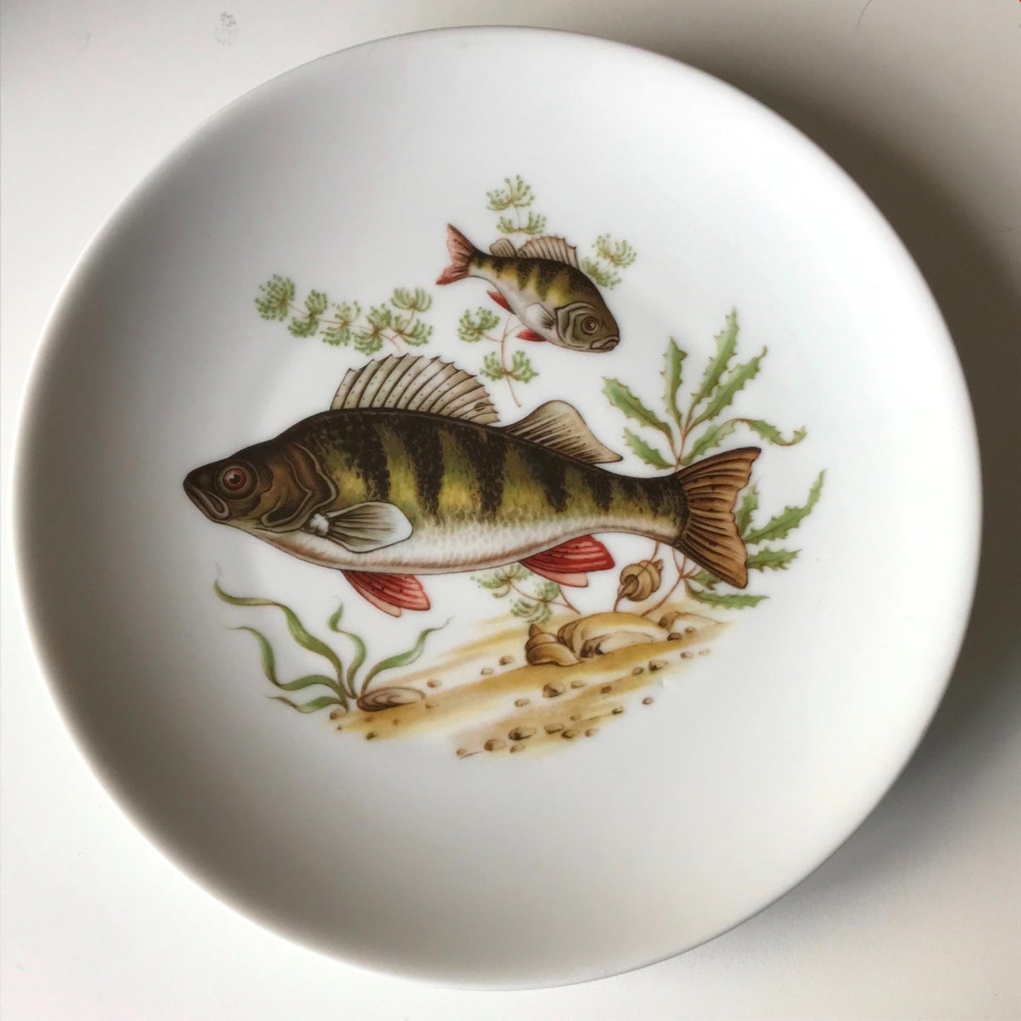 Vintage Vohenstrauss German Porcelain Fish Collect Plate Johann Seltmann Bavaria