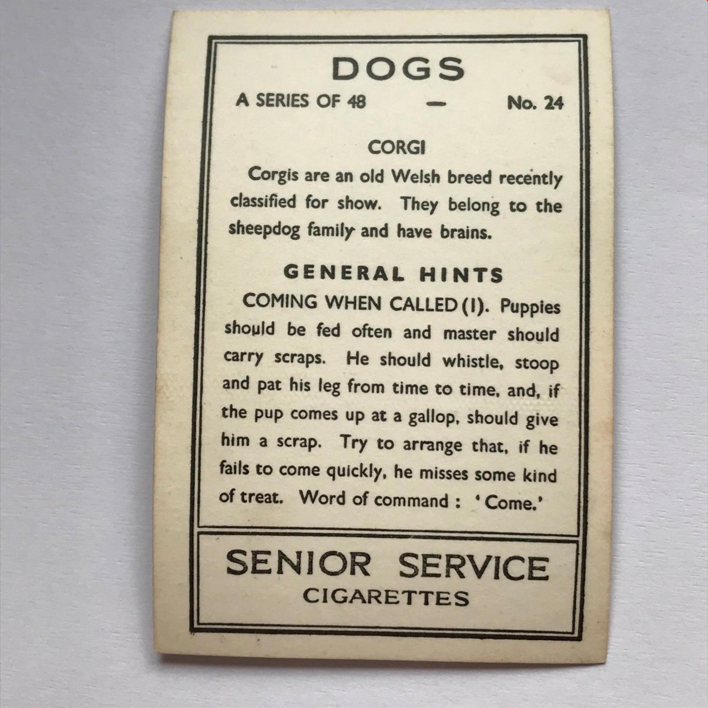 DOGS - SENIOR SERVICE CIGARETTE CARDS 1930S PHOTOS - take your pick
