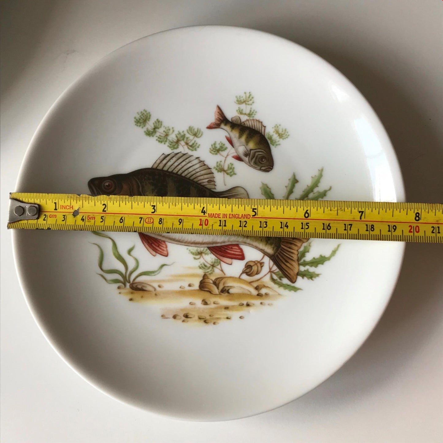 Vintage Vohenstrauss German Porcelain Fish Collect Plate Johann Seltmann Bavaria