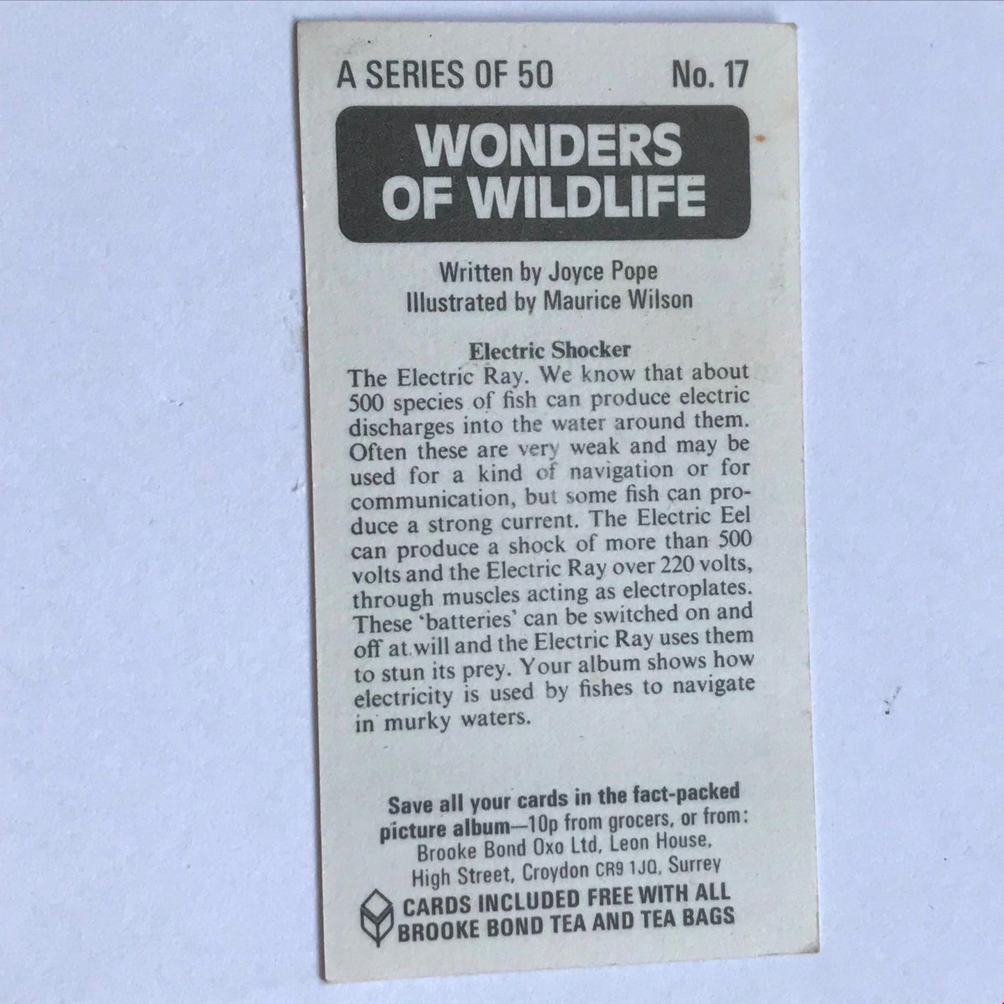 WONDERS OF WILDLIFE Brooke Bond Tea Cards - Sold individually - take your pick