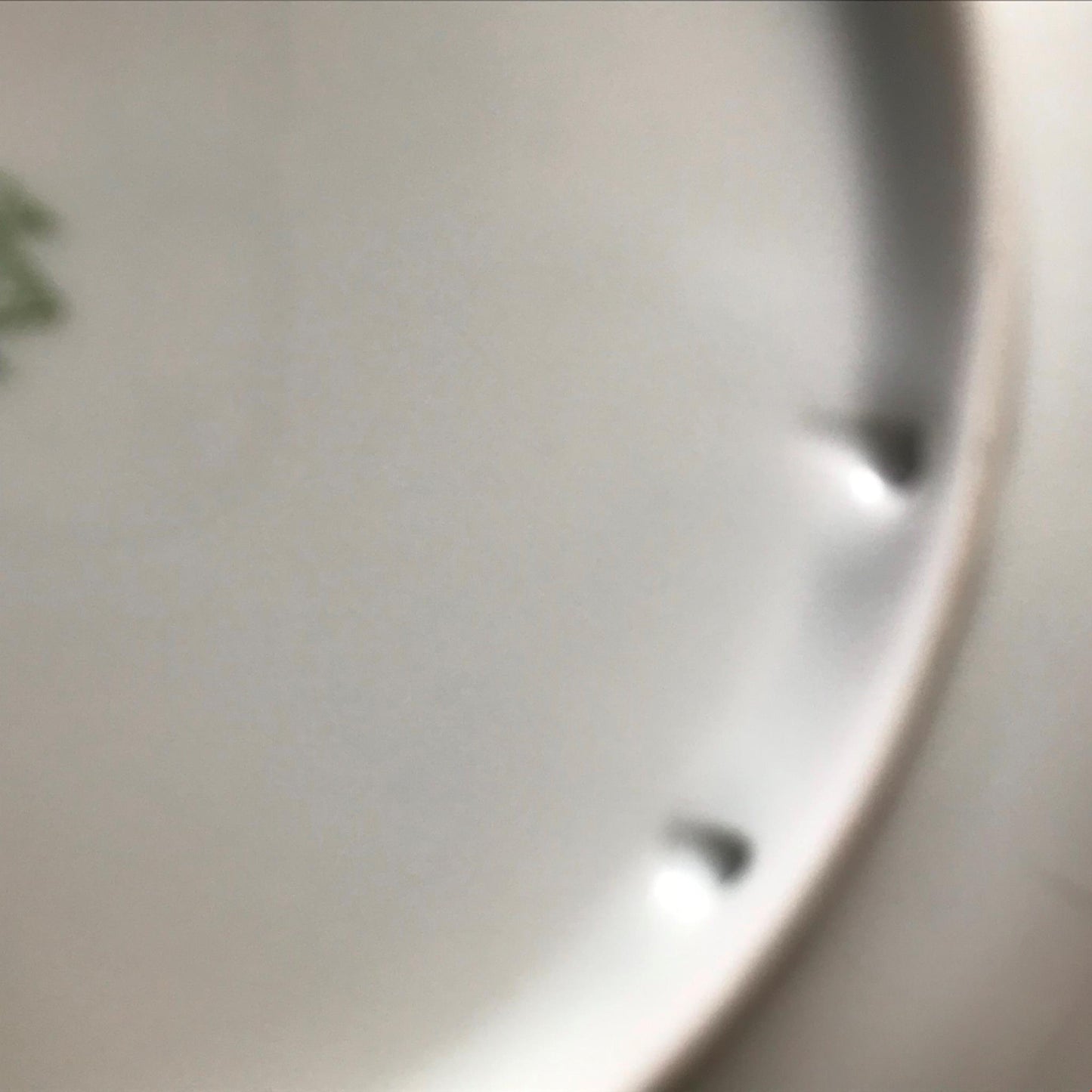 Vintage Vohenstrauss German Porcelain Fish Collect Plate Johann Seltmann Bavaria