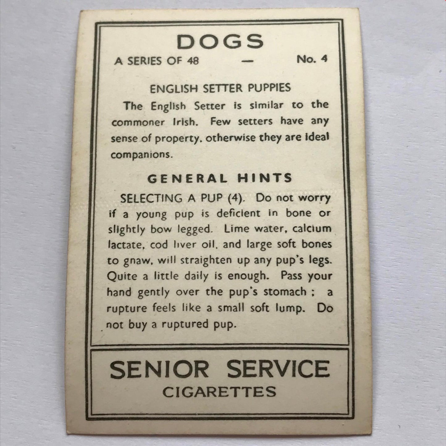 DOGS - SENIOR SERVICE CIGARETTE CARDS 1930S PHOTOS - take your pick