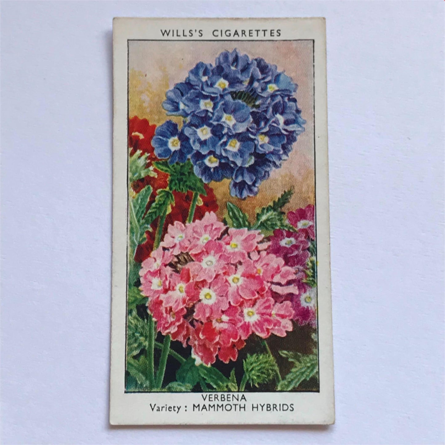 Wills Cigarette Cards GARDEN FLOWERS 1939 1930s - Pick! the ones you want