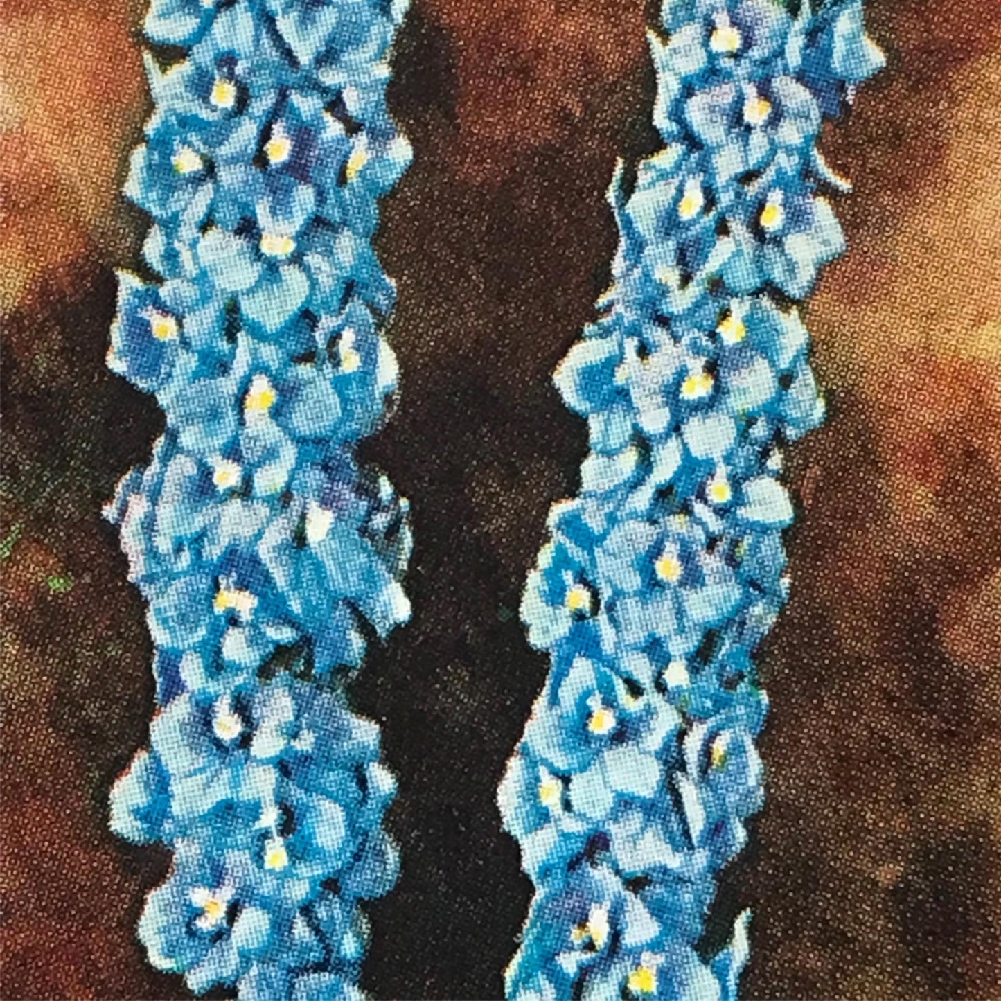 Wills Cigarette Cards GARDEN FLOWERS 1939 1930s - Pick! the ones you want