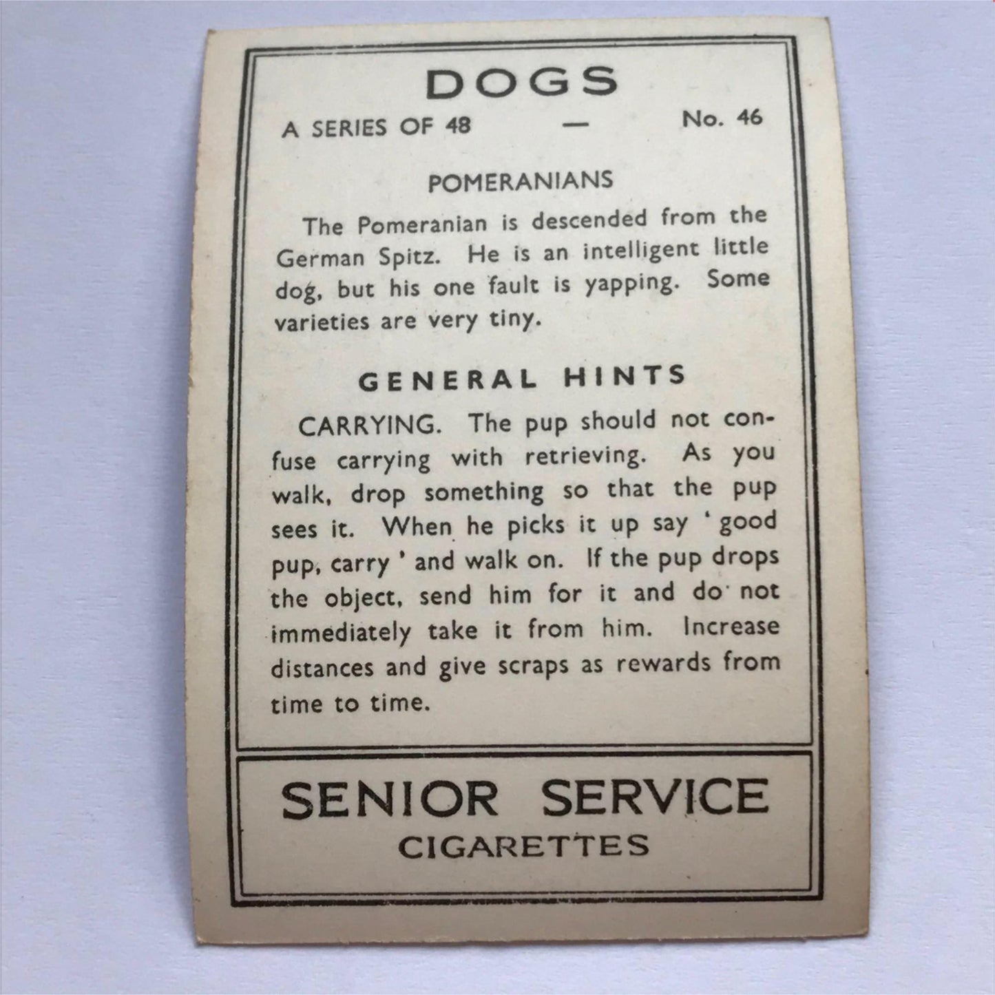 DOGS - SENIOR SERVICE CIGARETTE CARDS 1930S PHOTOS - take your pick