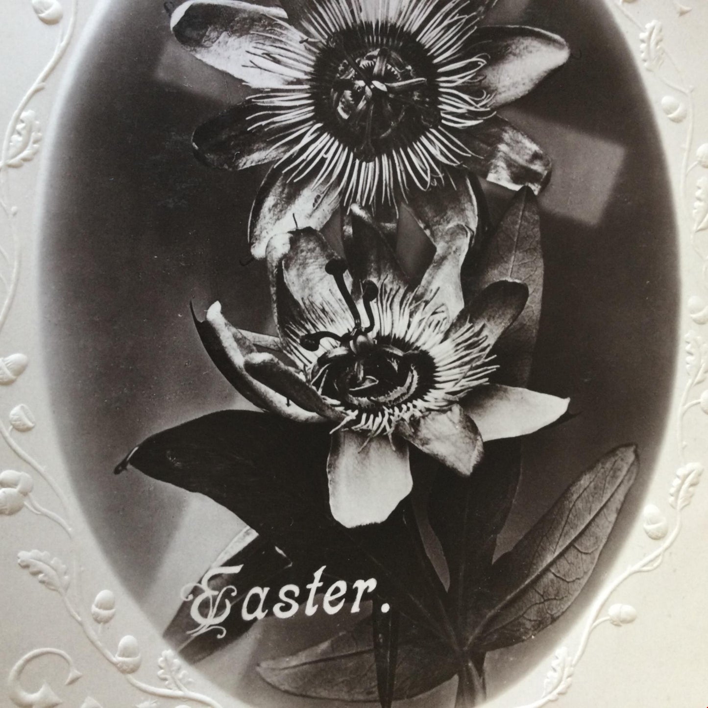 Vintage EASTER Greetings postcard photo of passion flowers nice poem embossed