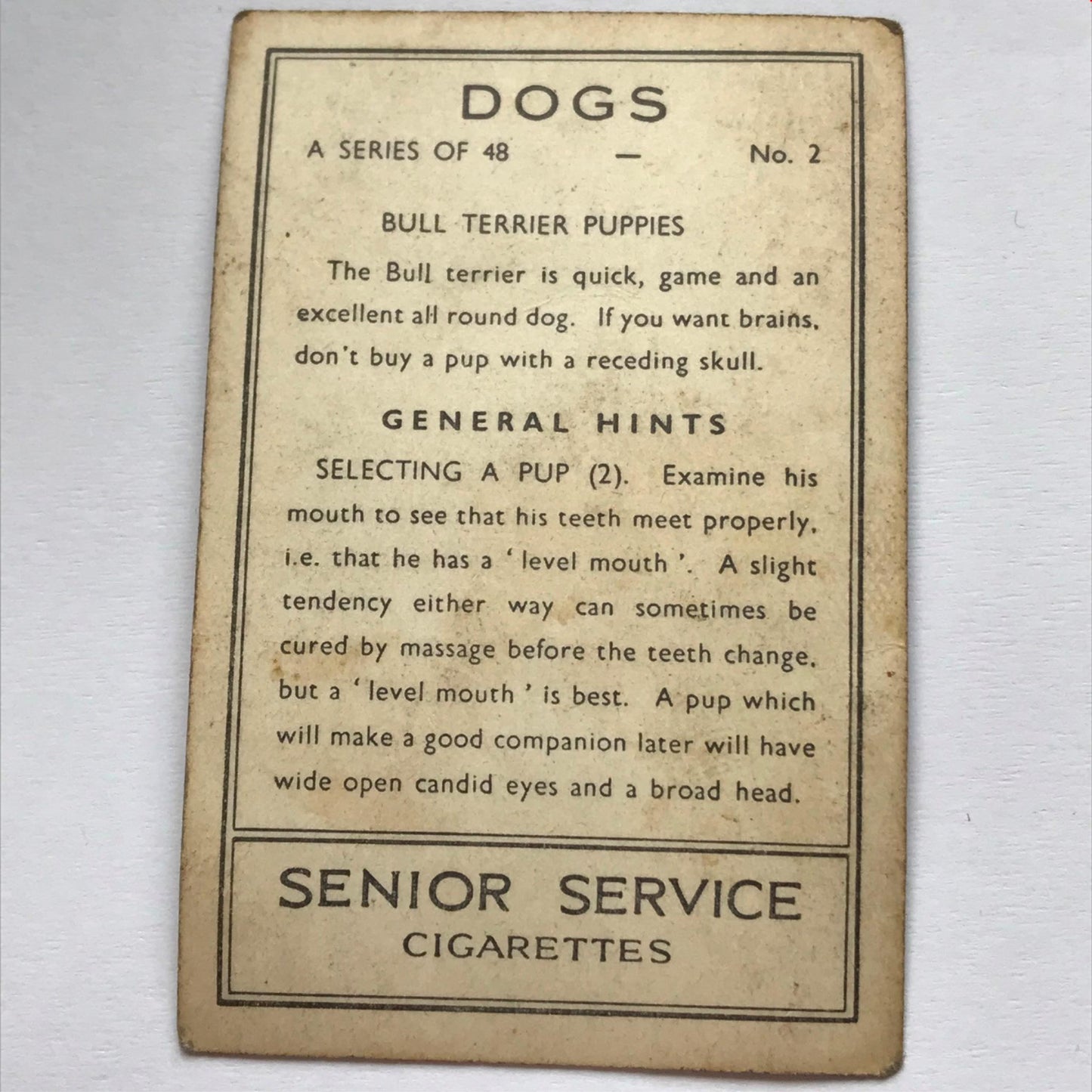 DOGS - SENIOR SERVICE CIGARETTE CARDS 1930S PHOTOS - take your pick