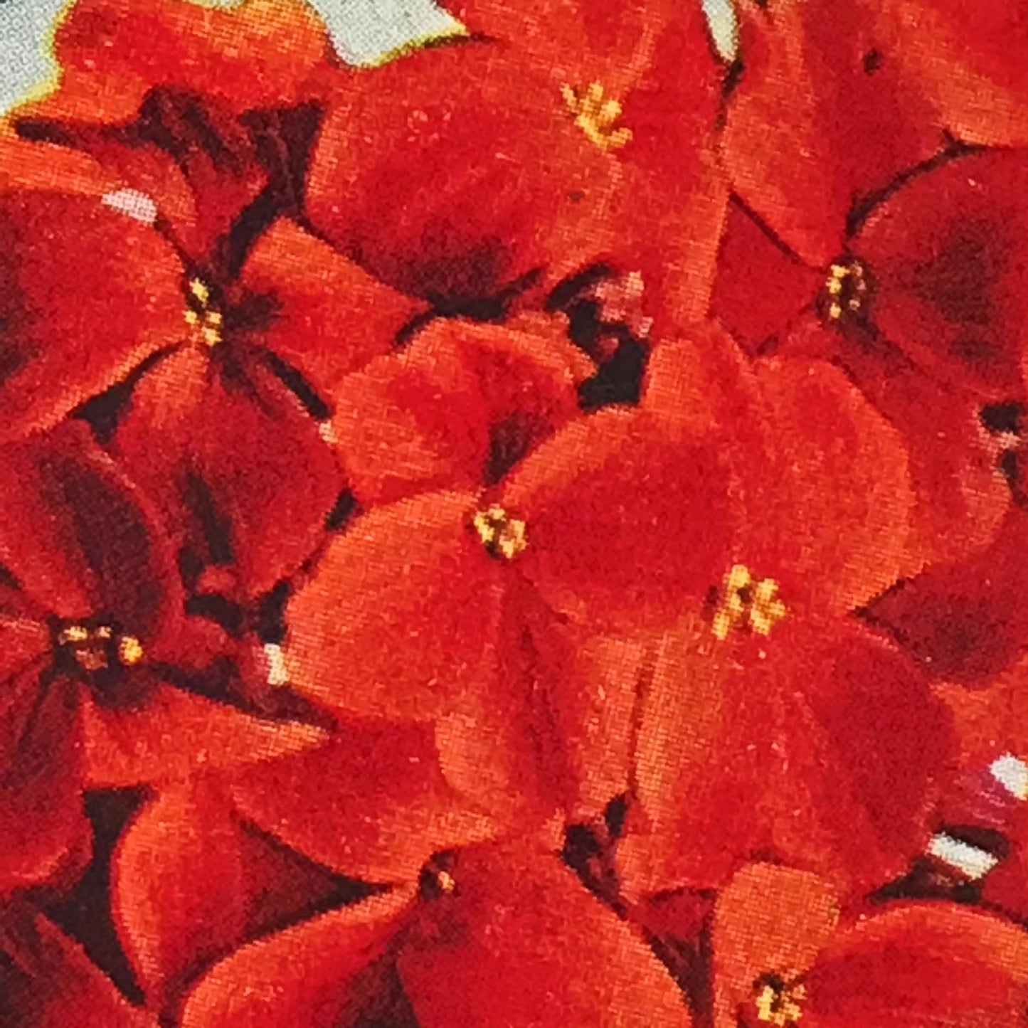 Wills Cigarette Cards GARDEN FLOWERS 1939 1930s - Pick! the ones you want