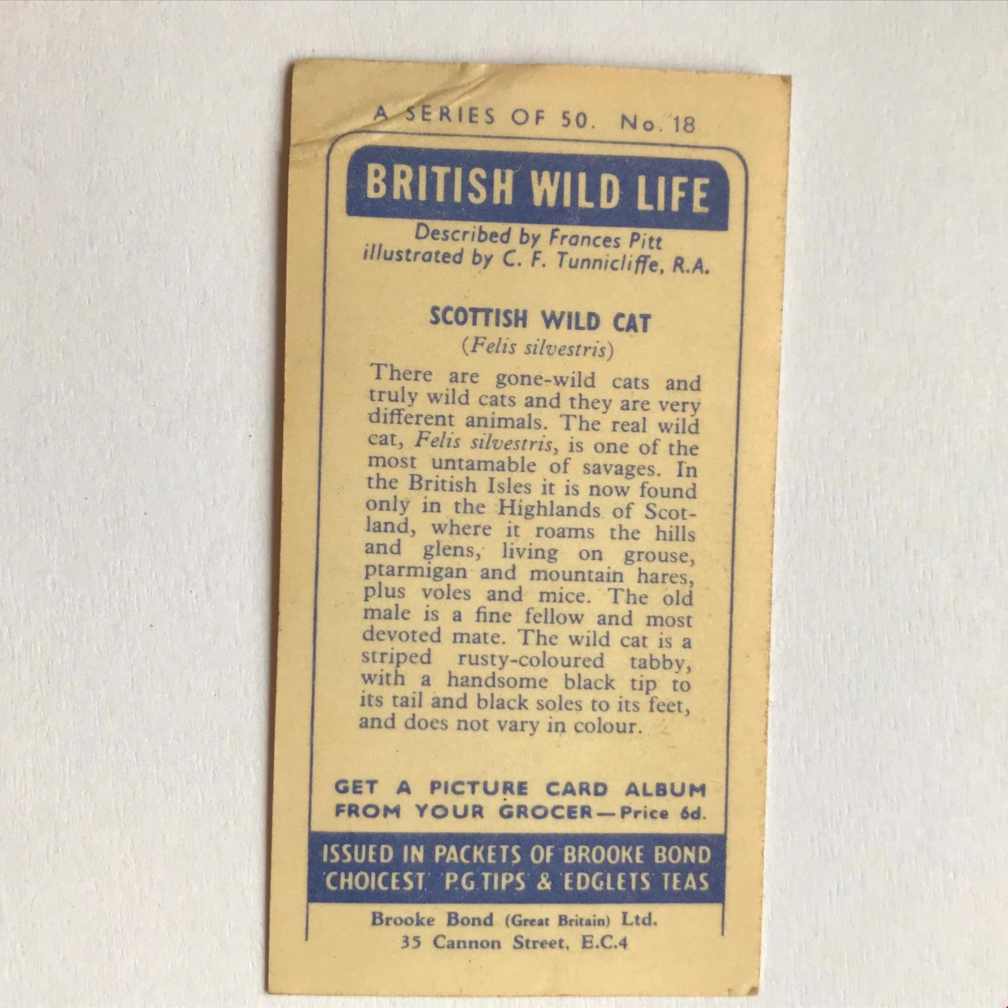 BRITISH WILD LIFE - Brooke Bond Tea Cards - Take your pick - wildlife pictures