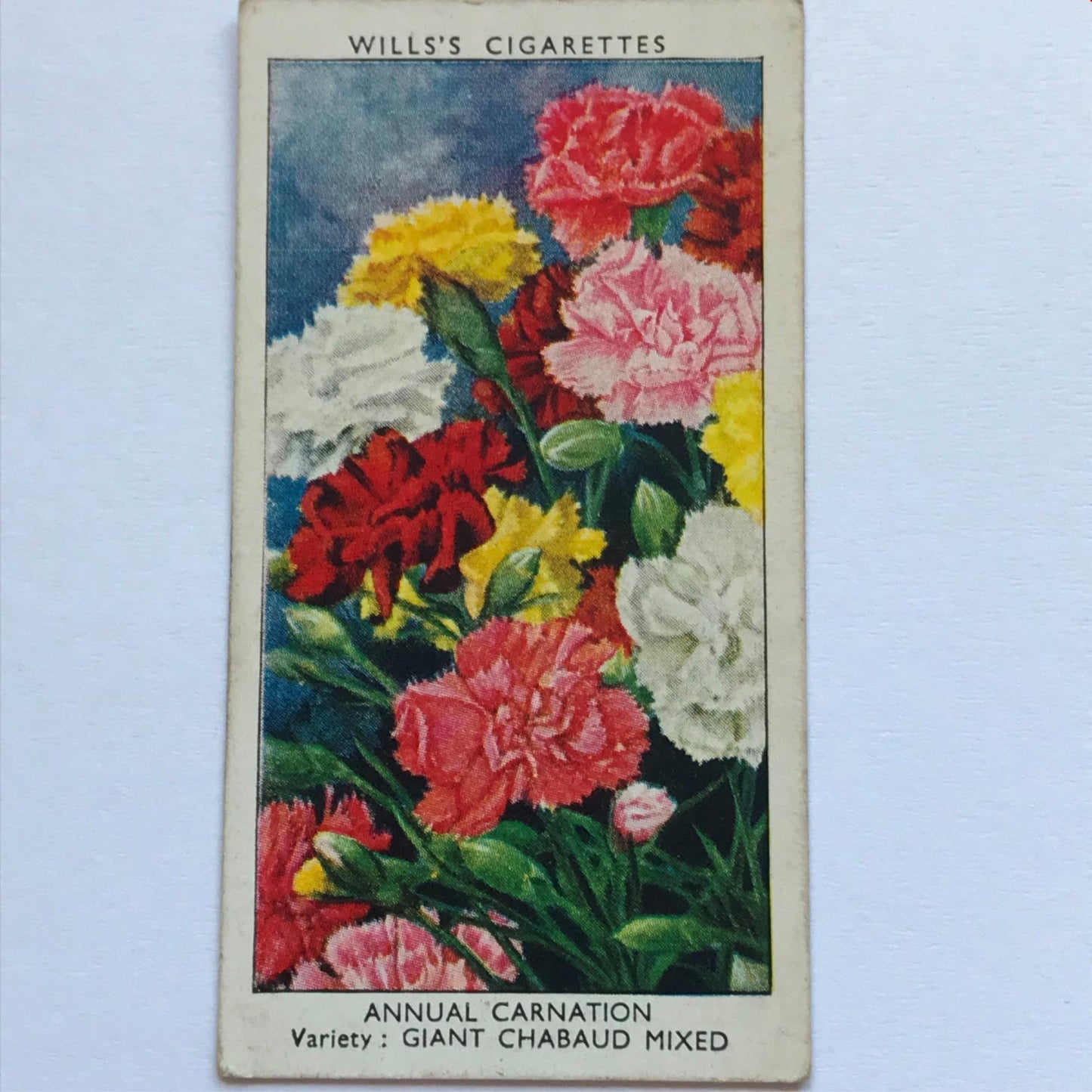 Wills Cigarette Cards GARDEN FLOWERS 1939 1930s - Pick! the ones you want