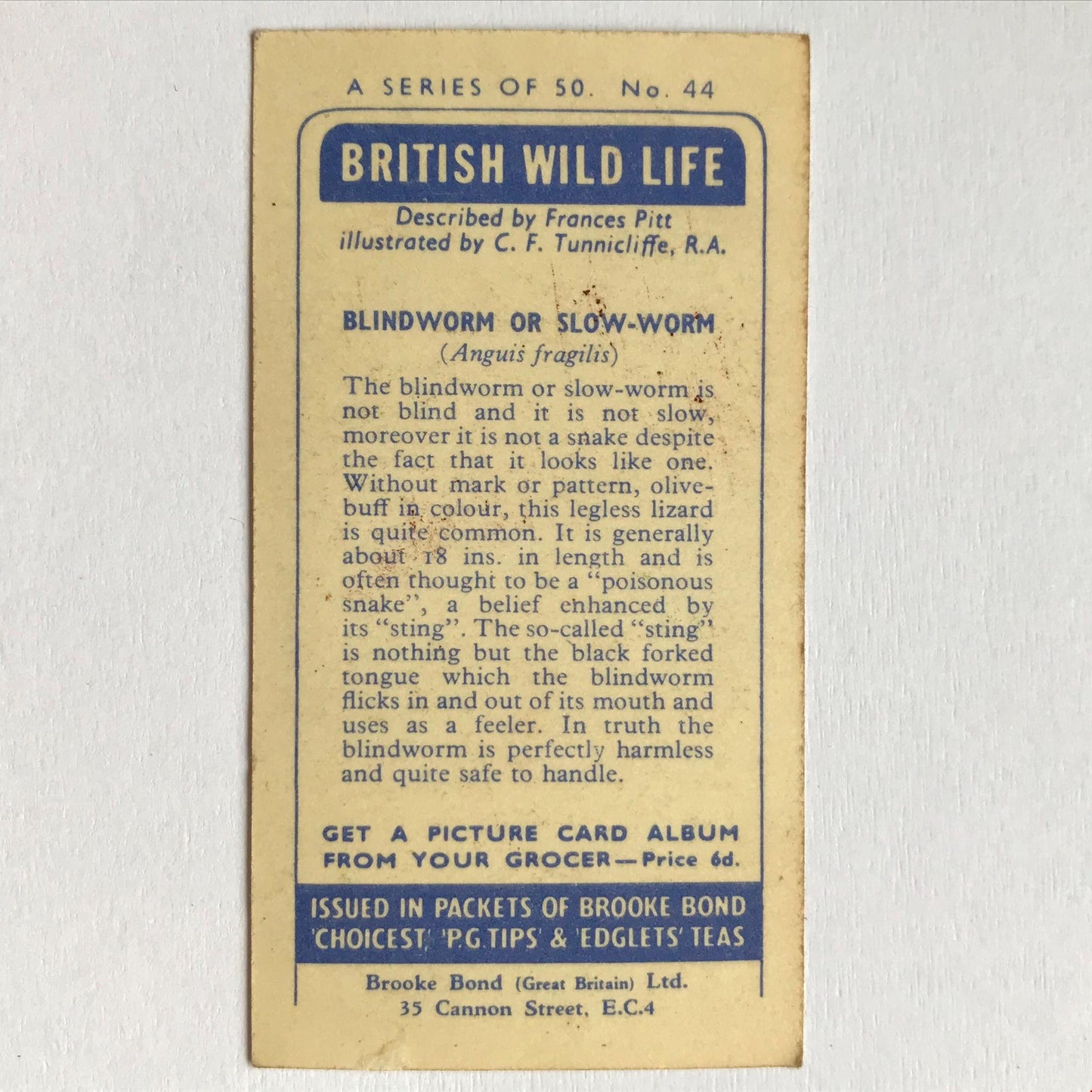 BRITISH WILD LIFE - Brooke Bond Tea Cards - Take your pick - wildlife pictures