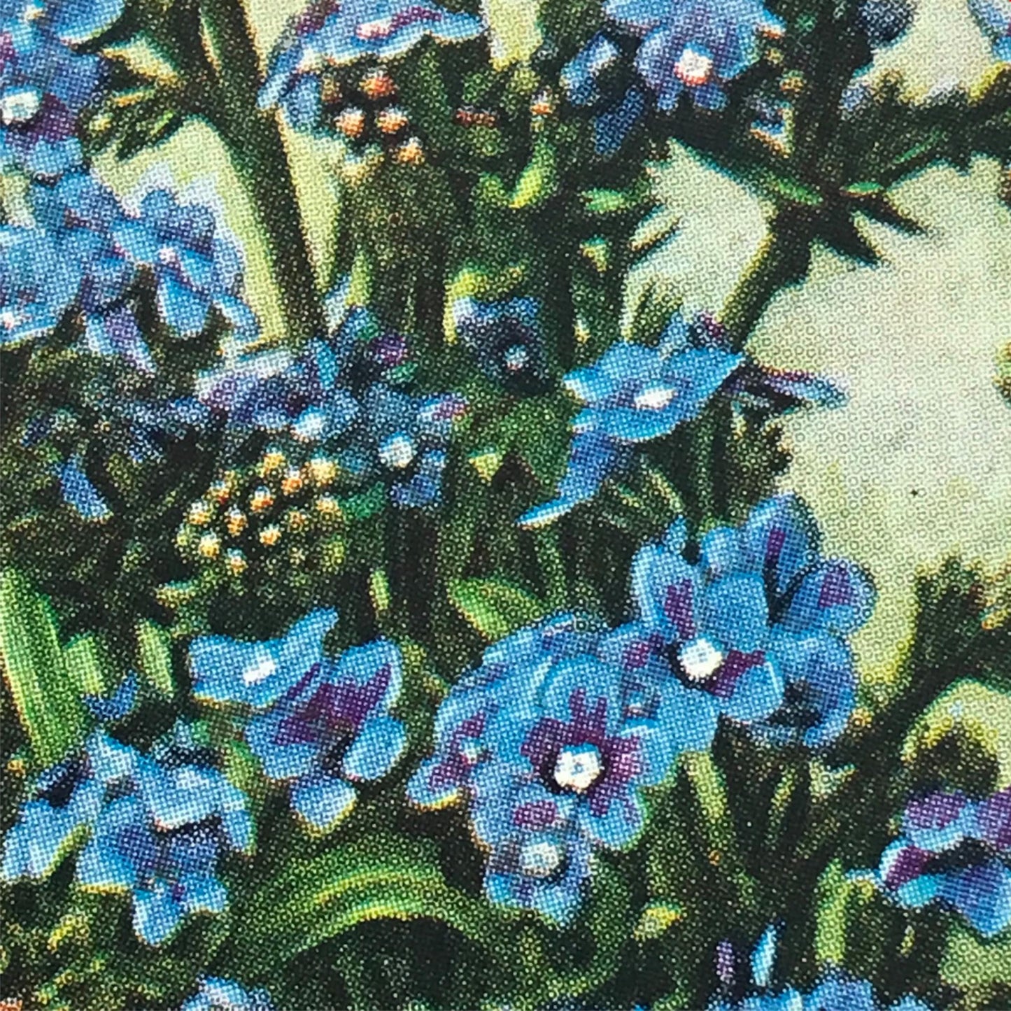Wills Cigarette Cards GARDEN FLOWERS 1939 1930s - Pick! the ones you want