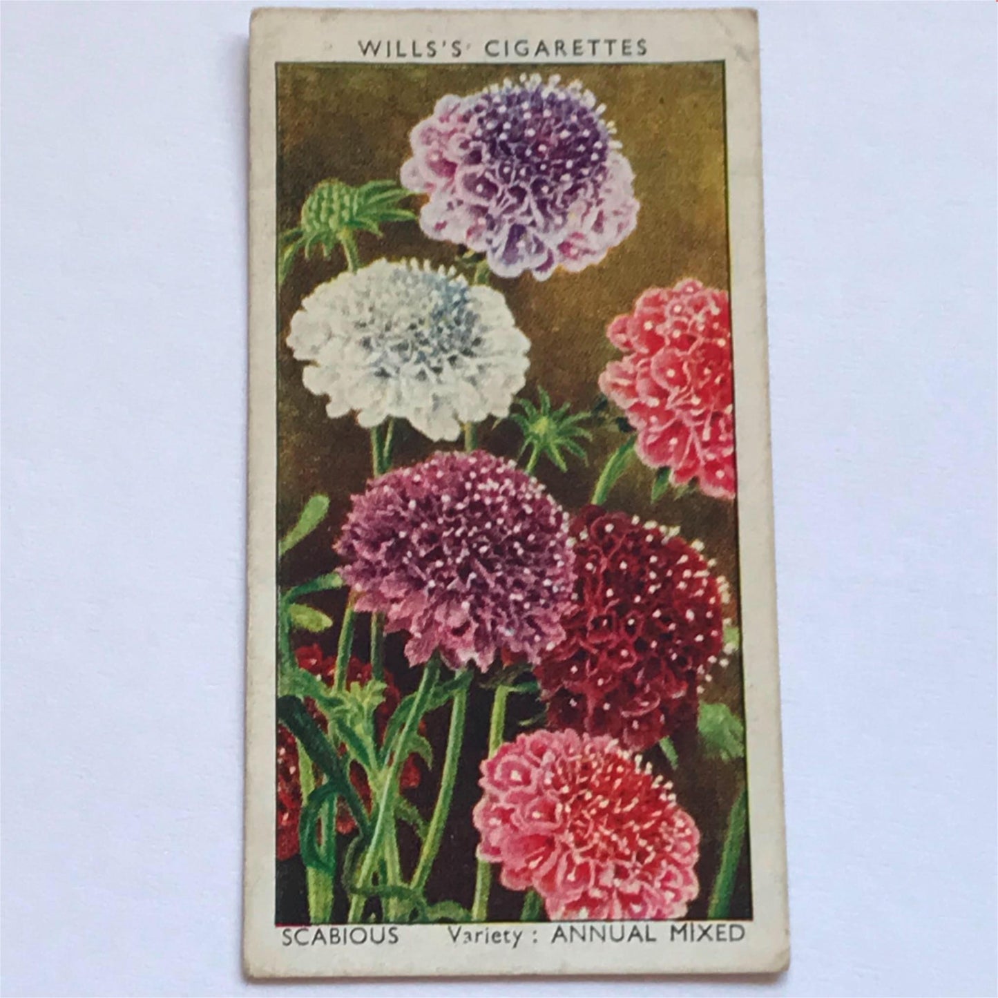 Wills Cigarette Cards GARDEN FLOWERS 1939 1930s - Pick! the ones you want