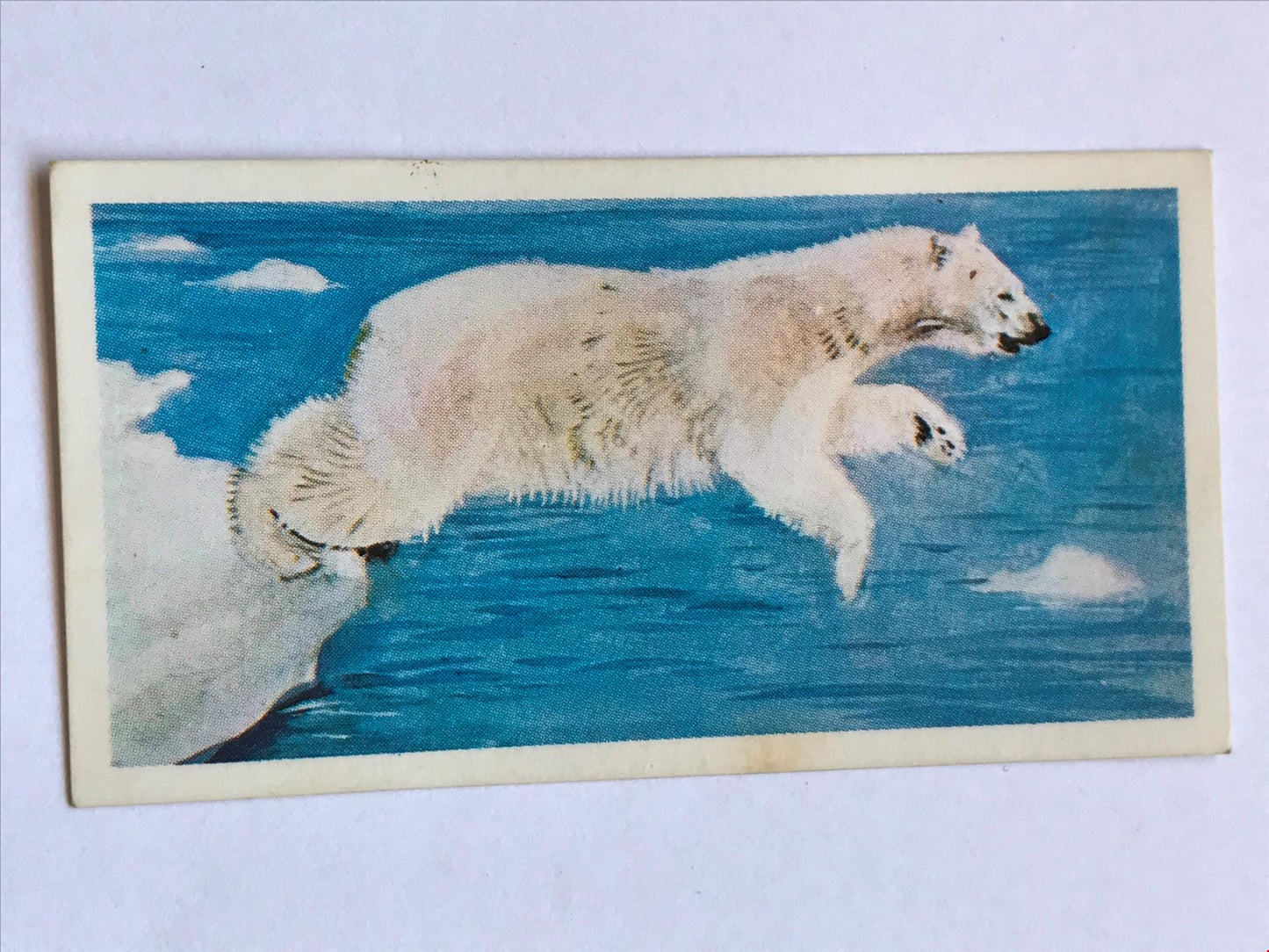 WONDERS OF WILDLIFE Brooke Bond Tea Cards - Sold individually - take your pick