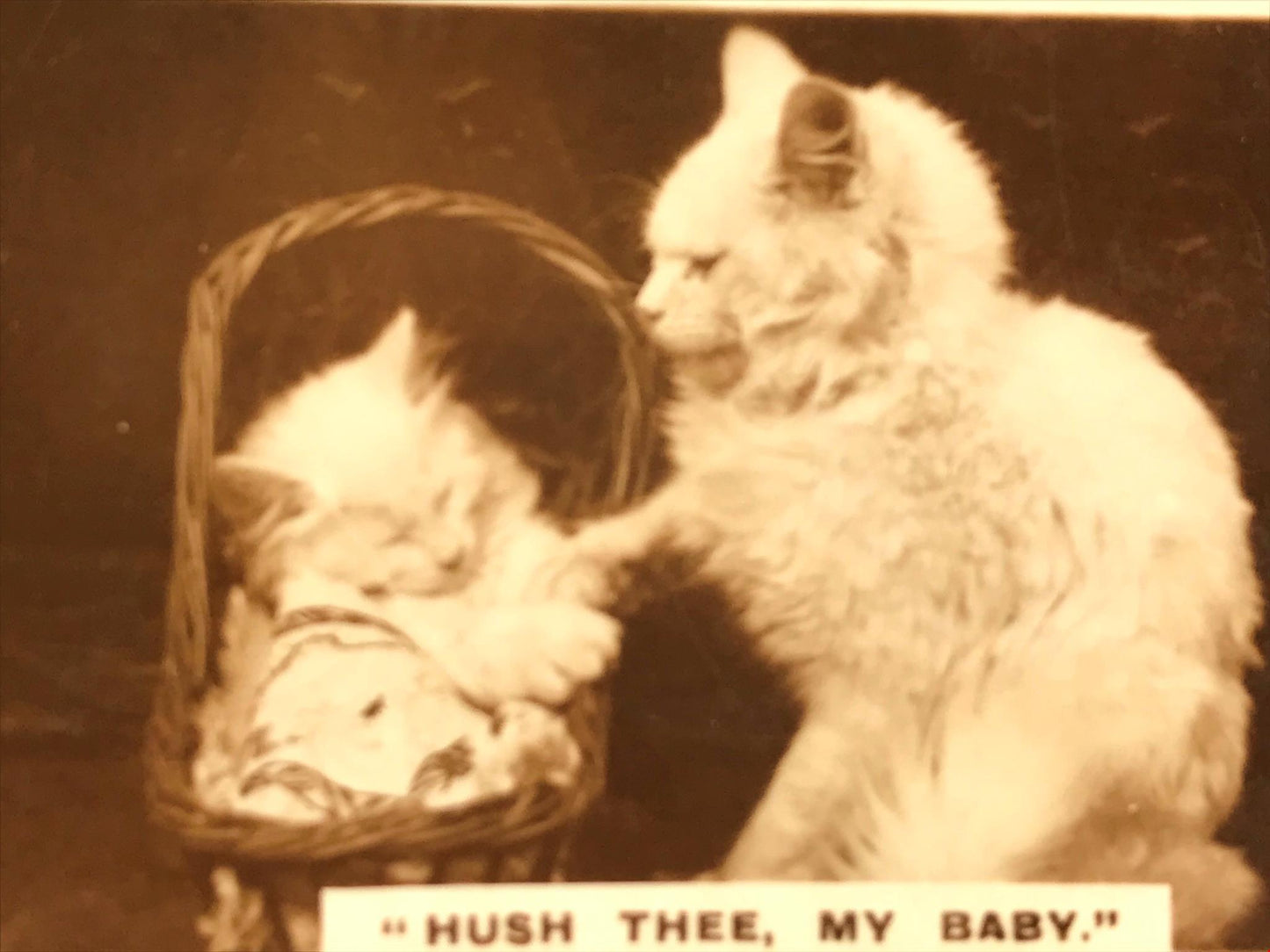 De Reszke Cigarette Card - 'Hush Thee My Baby' - No.1 / 27 - 1930s sepia photo - Cat with kitten in basket
