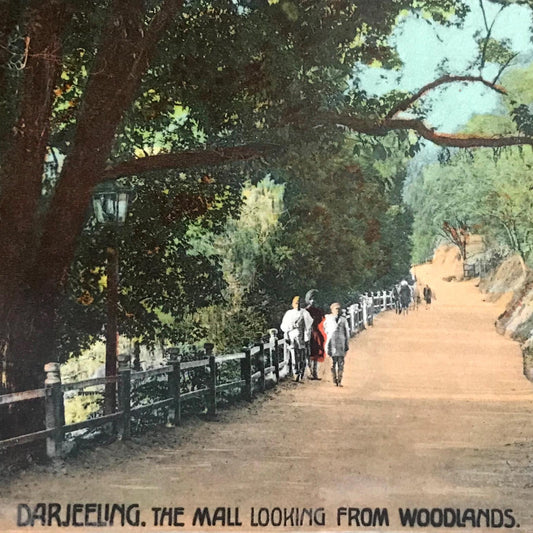 Vintage Postcard - INDIA - Darjeeling - The Mall looking from woodlands - Tinted