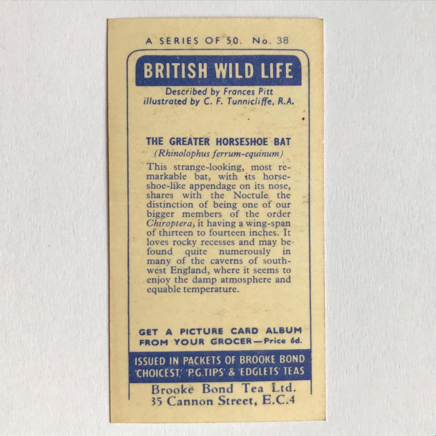 BRITISH WILD LIFE - Brooke Bond Tea Cards - Take your pick - wildlife pictures