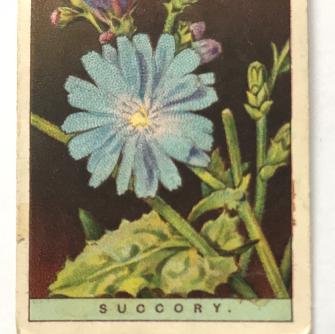 Wills Cigarette Cards WILD FLOWERS Various series, sold individually