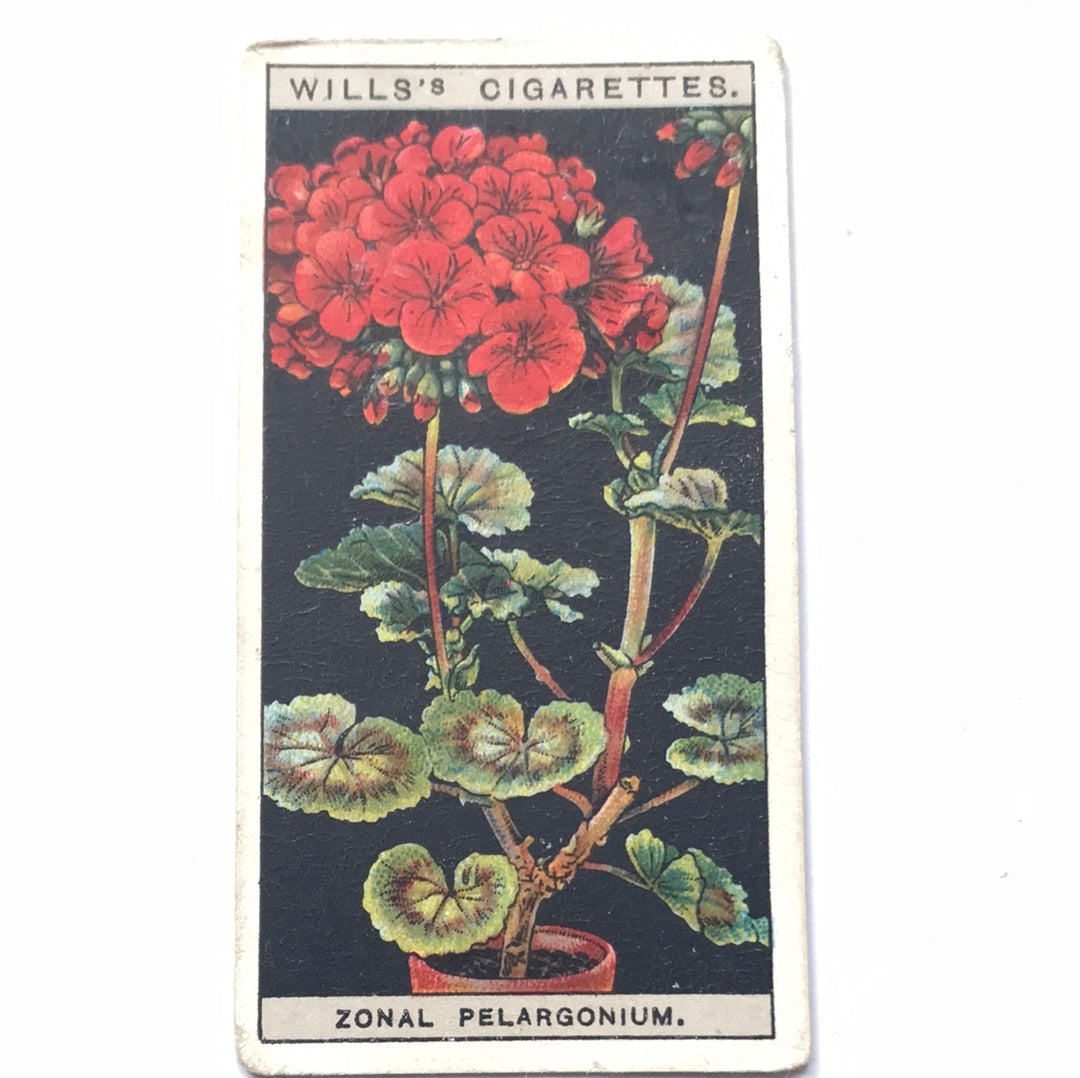 Wills Cigarette Cards FLOWER CULTURE IN POTS Sold individually - take your pick - 1920s 1925