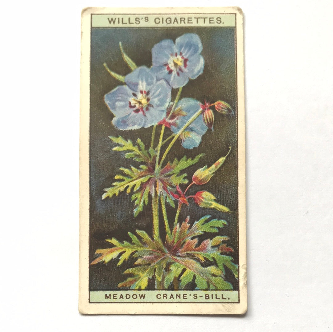 Wills Cigarette Cards WILD FLOWERS Various series, sold individually