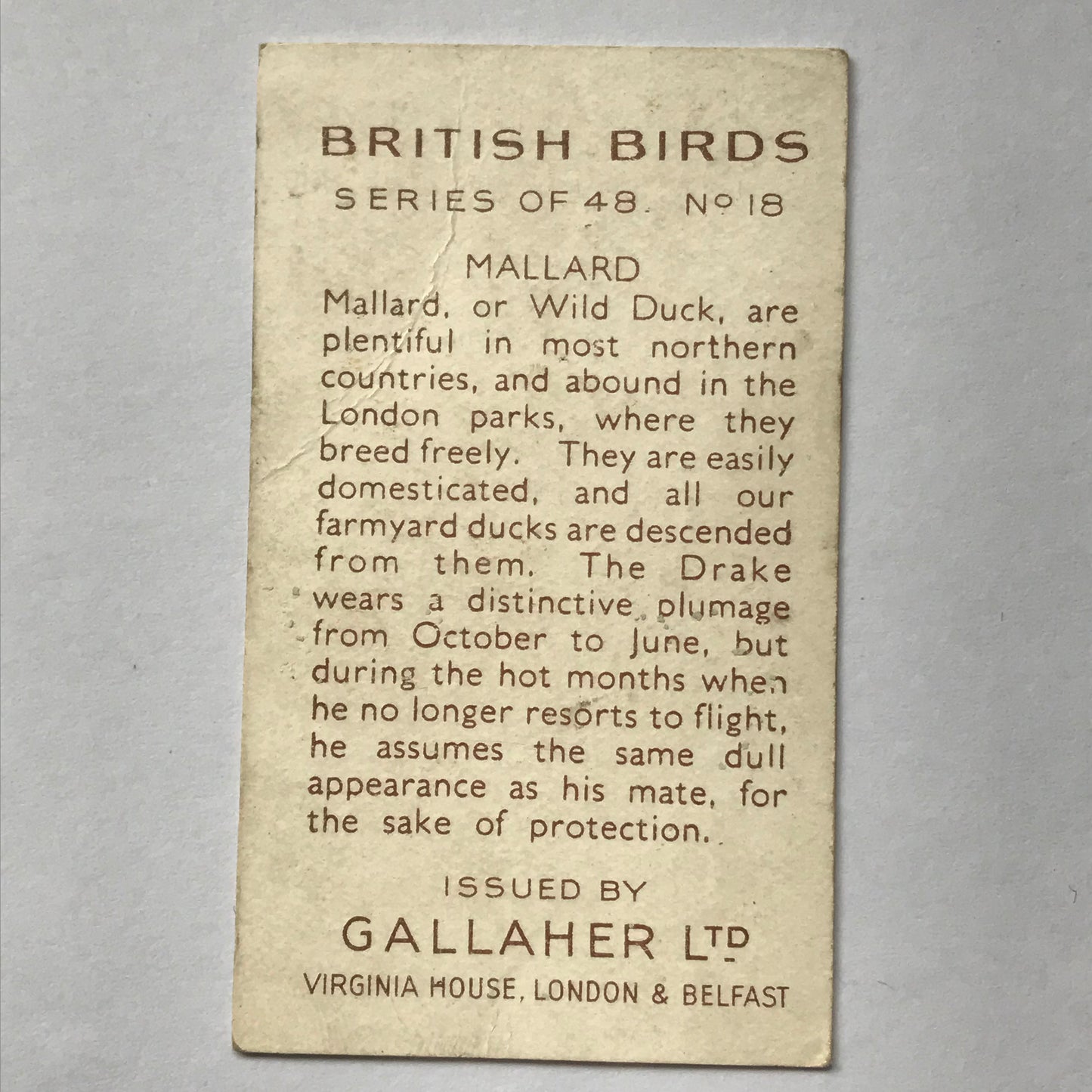 Gallaher Cigarette Cards BRITISH BIRDS Sold Individually- take your pick
