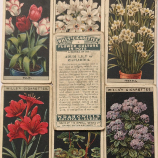 Wills Cigarette Cards FLOWER CULTURE IN POTS Sold individually - take your pick - 1920s 1925