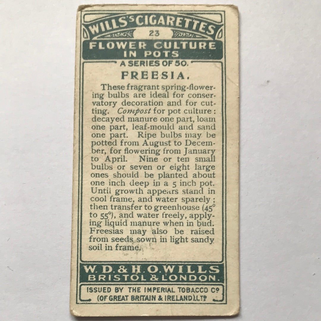 Wills Cigarette Cards FLOWER CULTURE IN POTS Sold individually - take your pick - 1920s 1925
