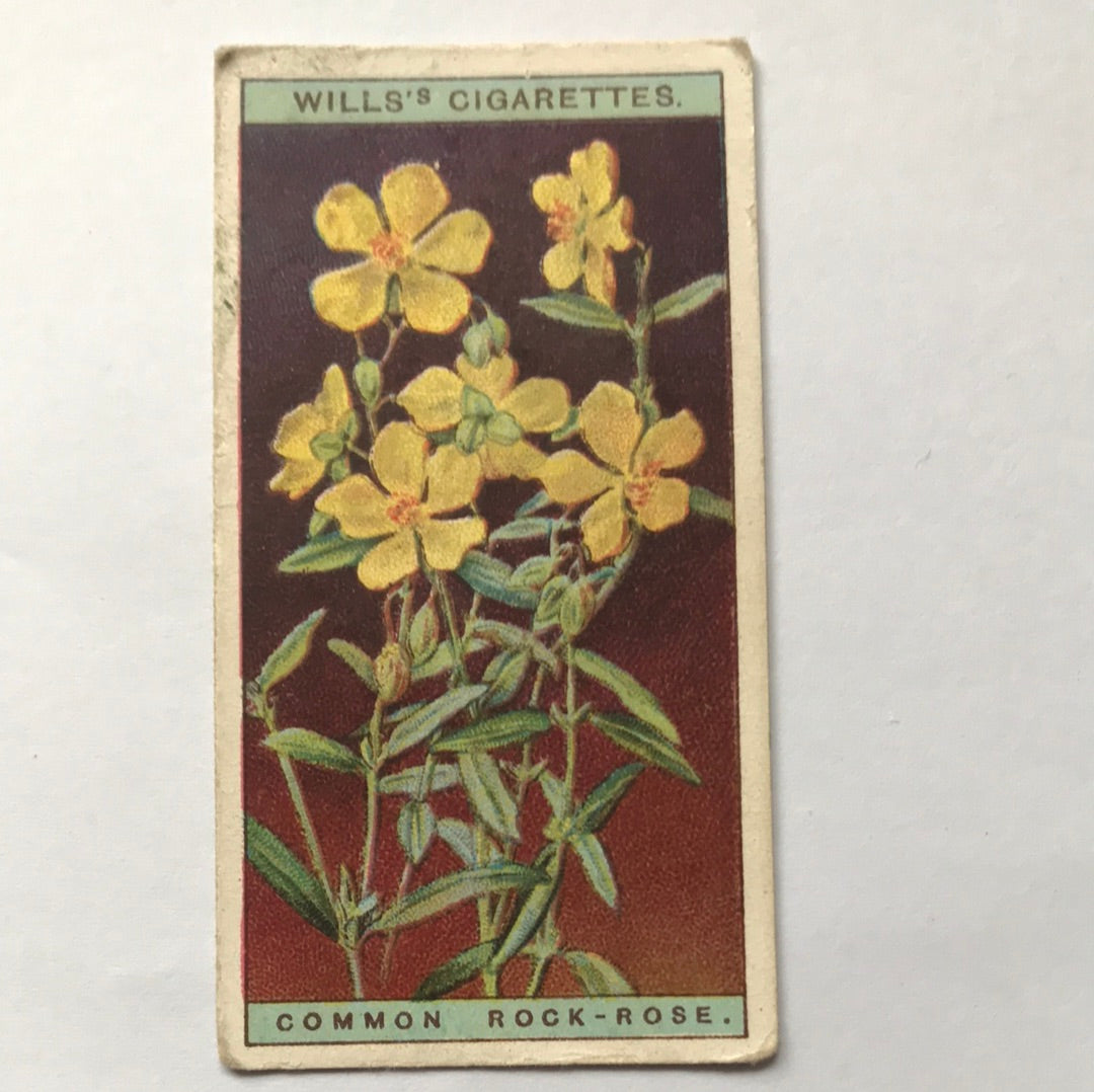 Wills Cigarette Cards WILD FLOWERS Various series, sold individually