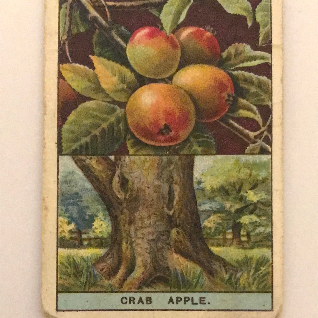 Wills Cigarette Cards - FLOWERING TREES AND SHRUBS - Sold Individually- take your pick 1920s 1924